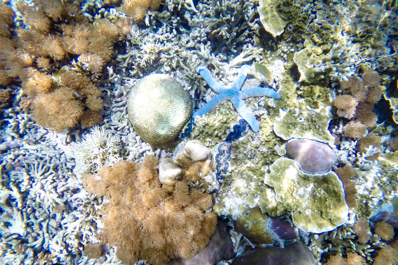 Raja Ampat, West Papua, Indonesia