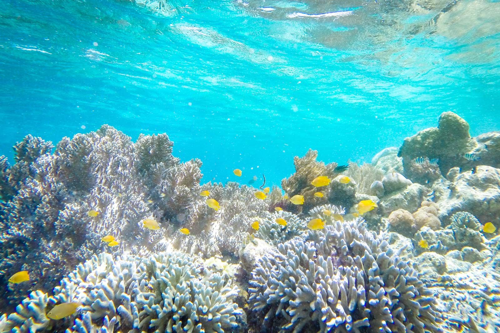 Raja Ampat, West Papua, Indonesia