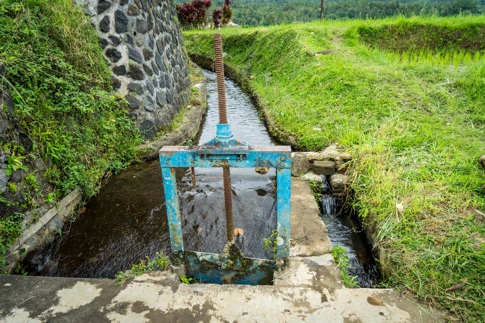 Jatiluwih Rice Terraces, Bali, Indonesia