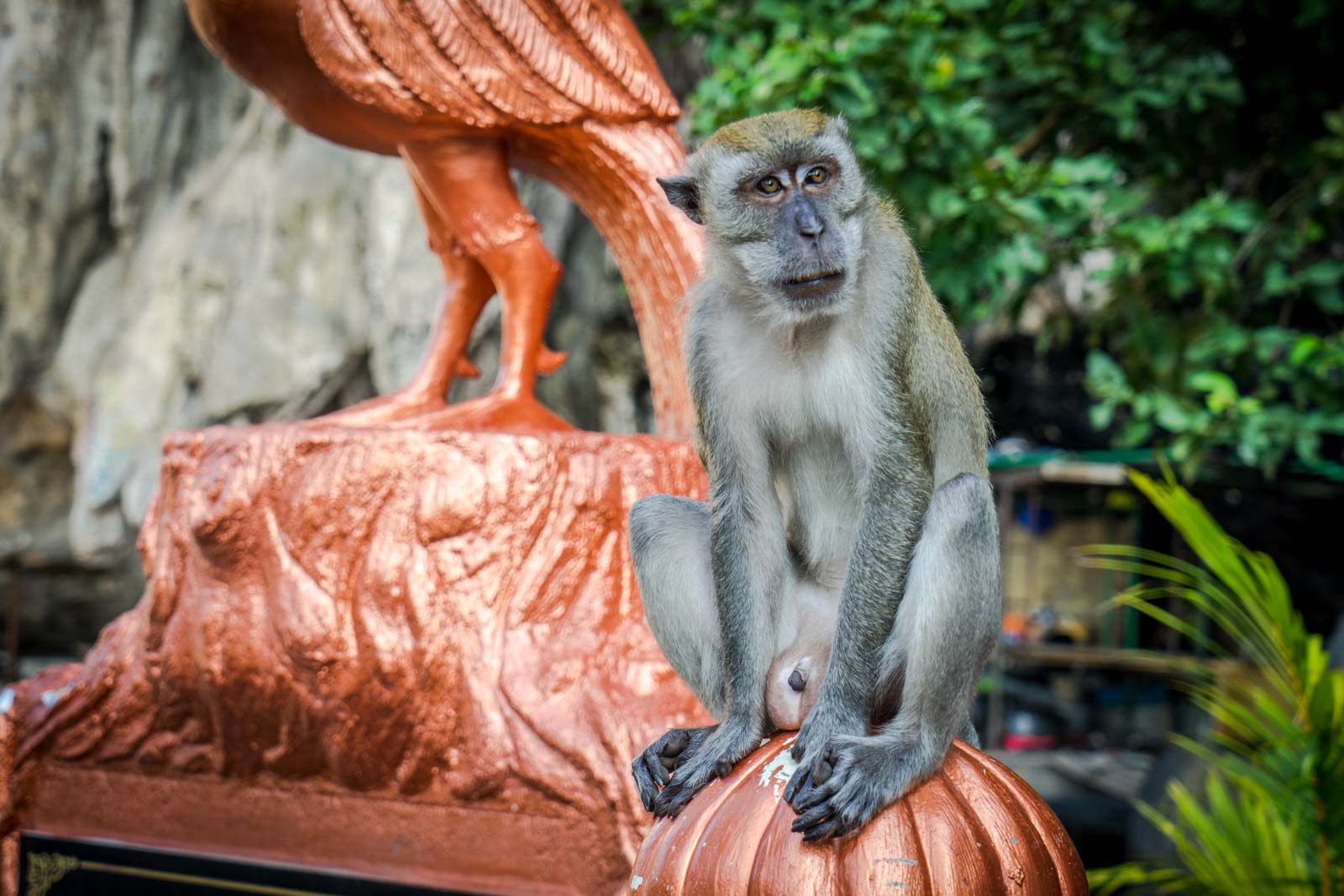 Batu Caves, Kuala Lumpur, Malaysia