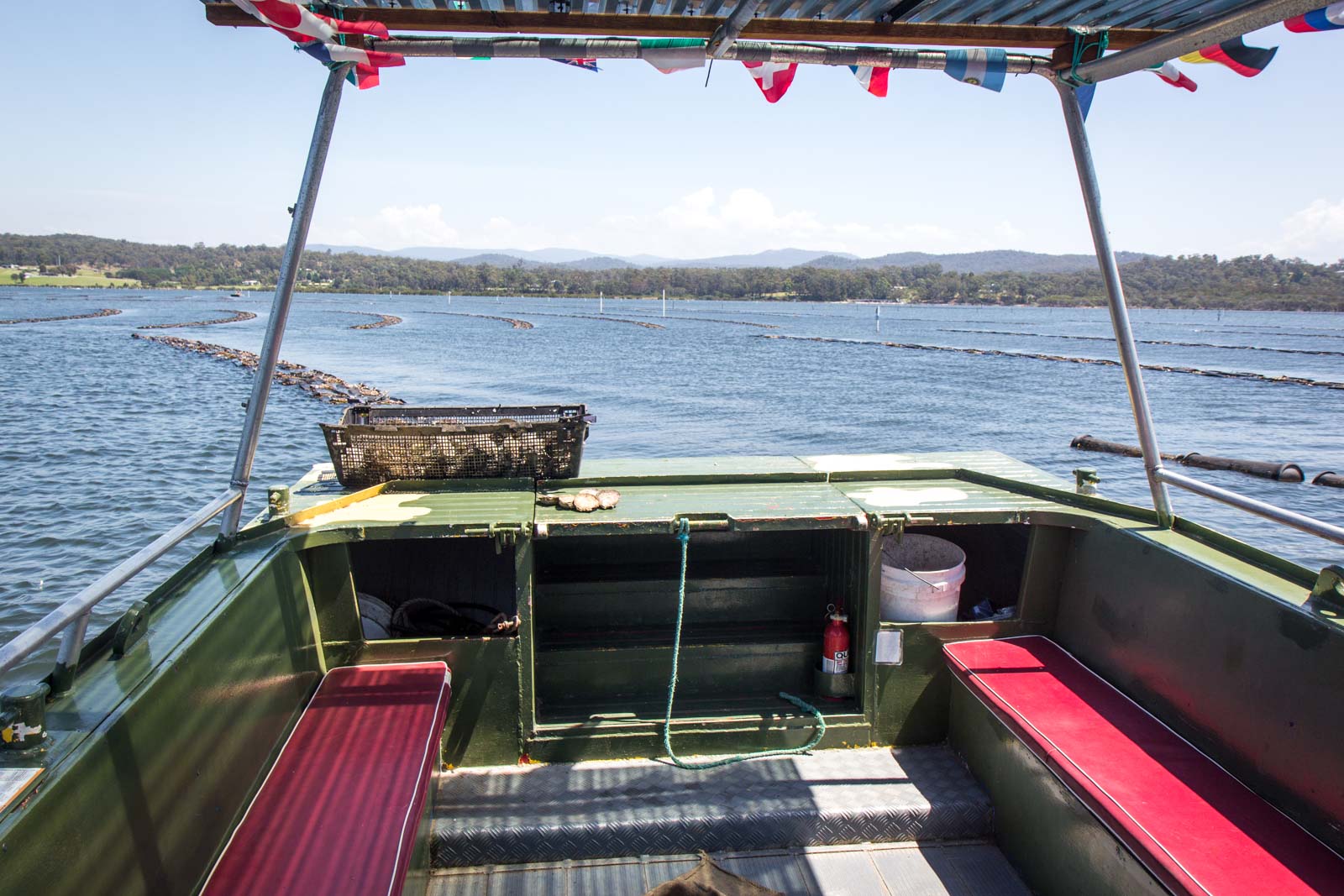 Oyster Tour And Tasting At Pambula Merimbula Nsw Australia