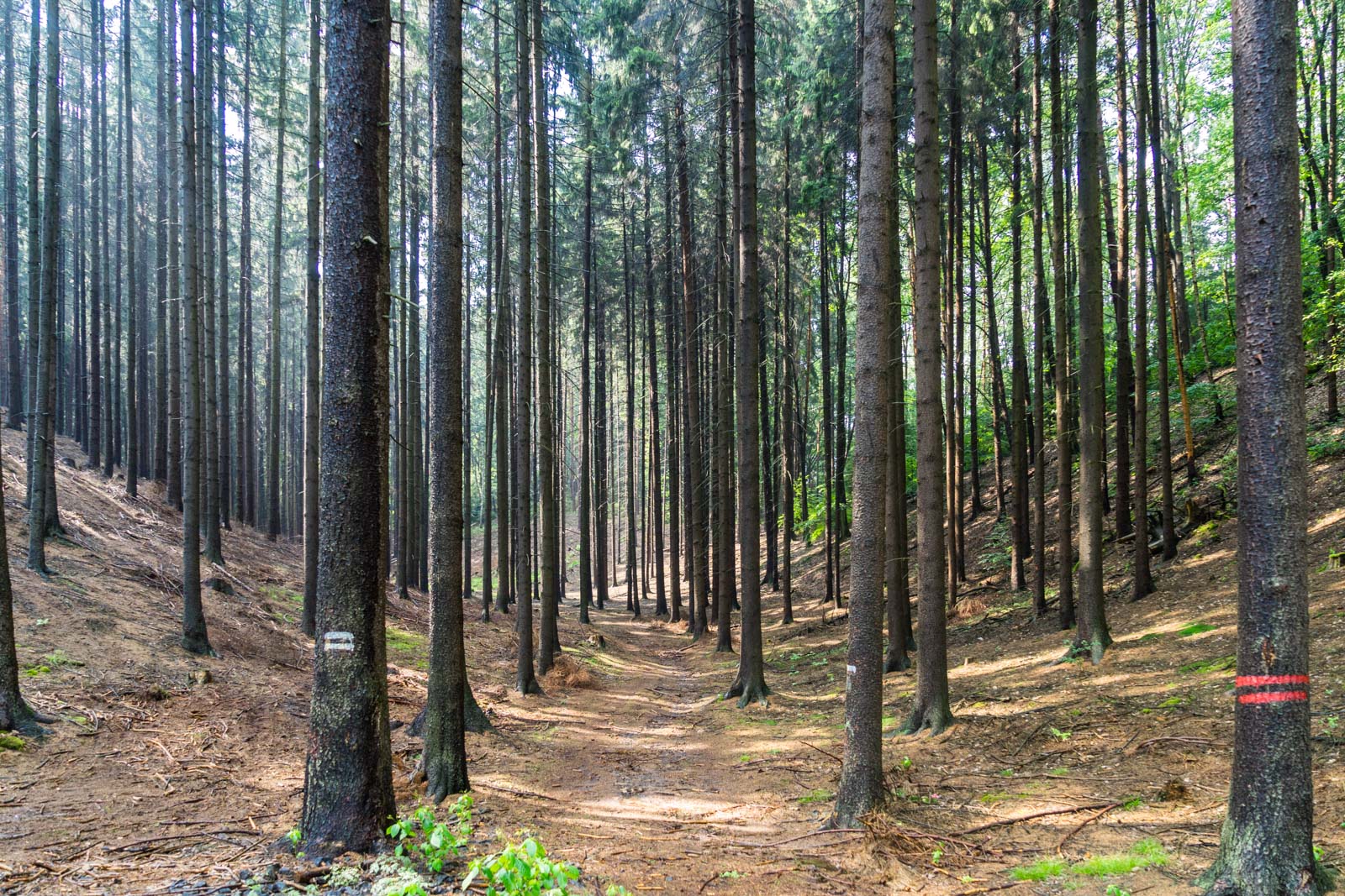 Hiking in Bohemian Paradise, Czech Republic