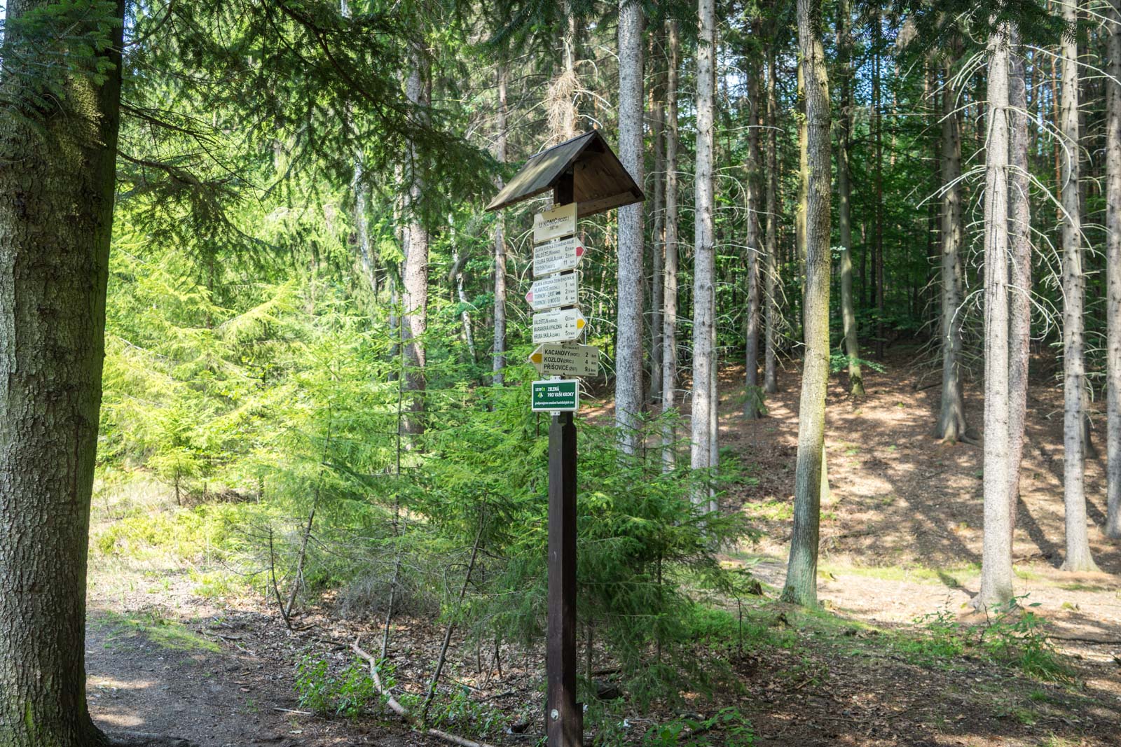 Hiking in Bohemian Paradise, Czech Republic