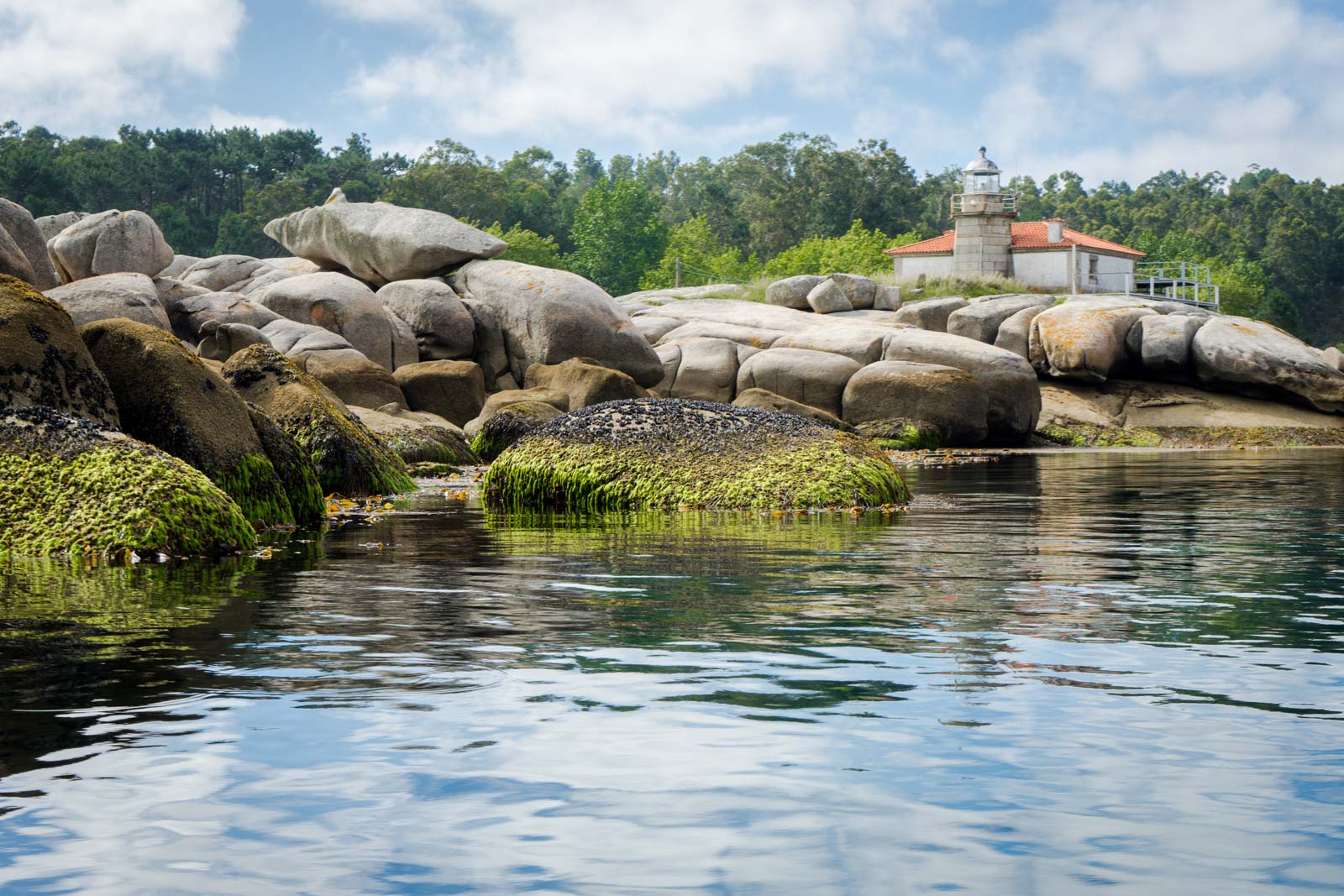 Mussel Farming, Arousa, Spain