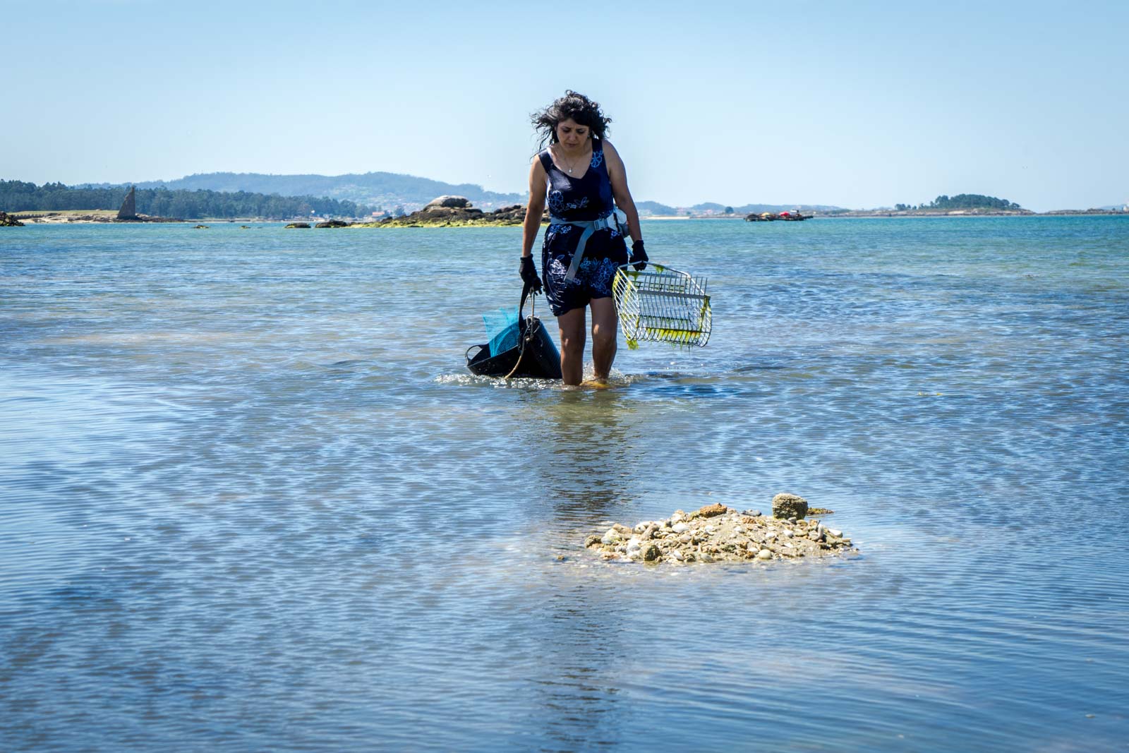 Clam harvesting, Cambados, Spain