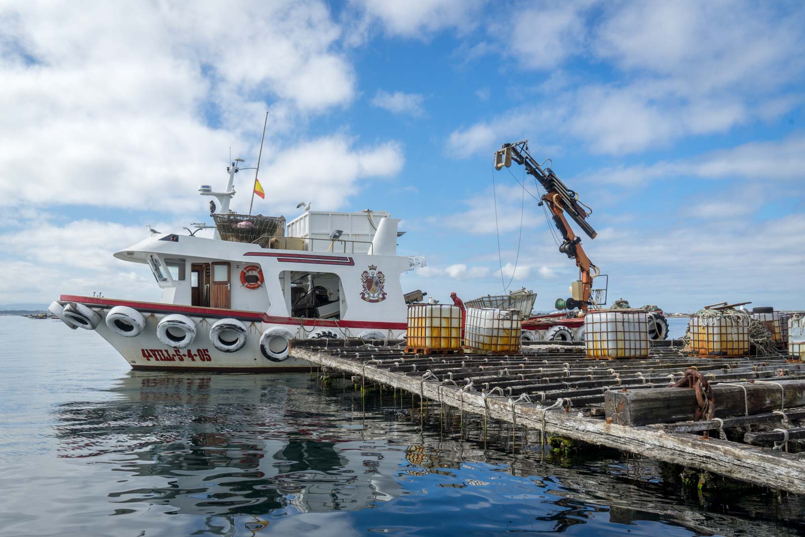 Mussel Farming, Arousa, Spain