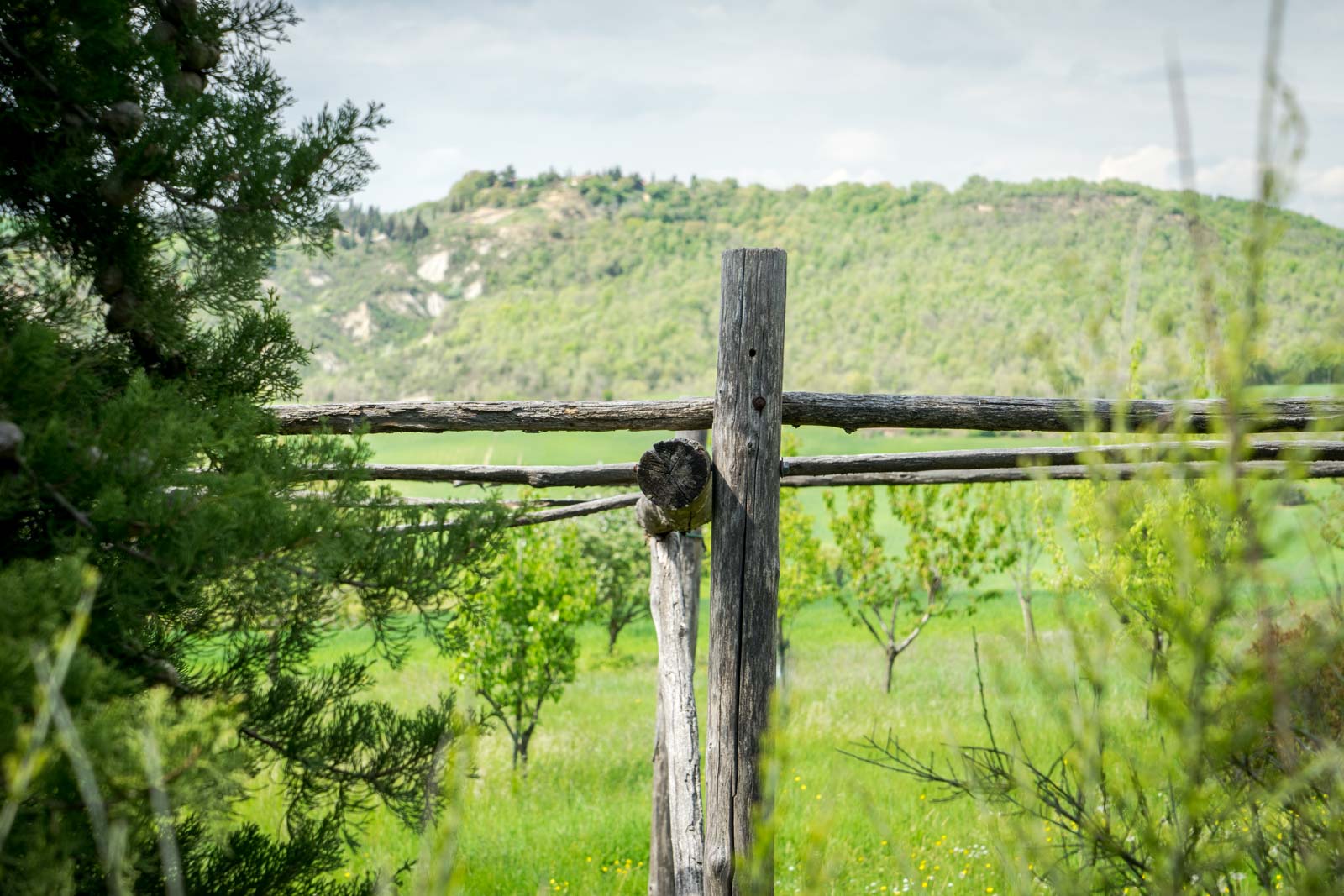 Walking in the Val d'Orcia, Tuscany, Italy