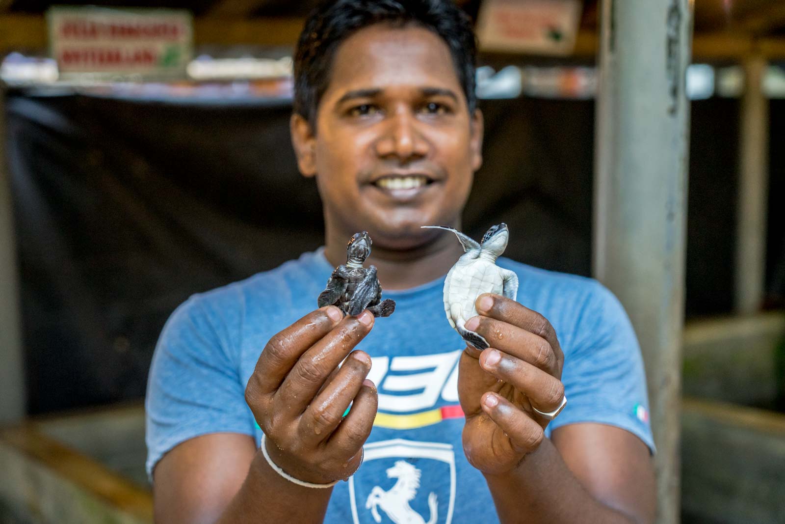 Kosgoda Turtle Hatchery, Galle, Sri Lanka