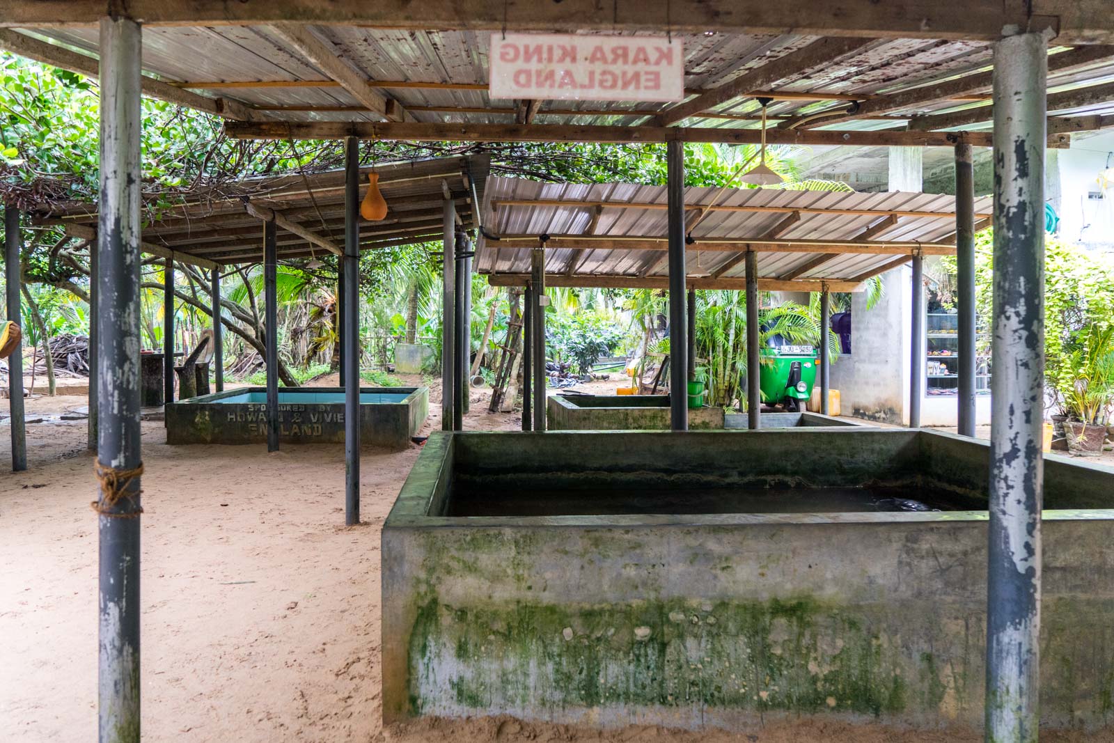 Kosgoda Turtle Hatchery, Galle, Sri Lanka