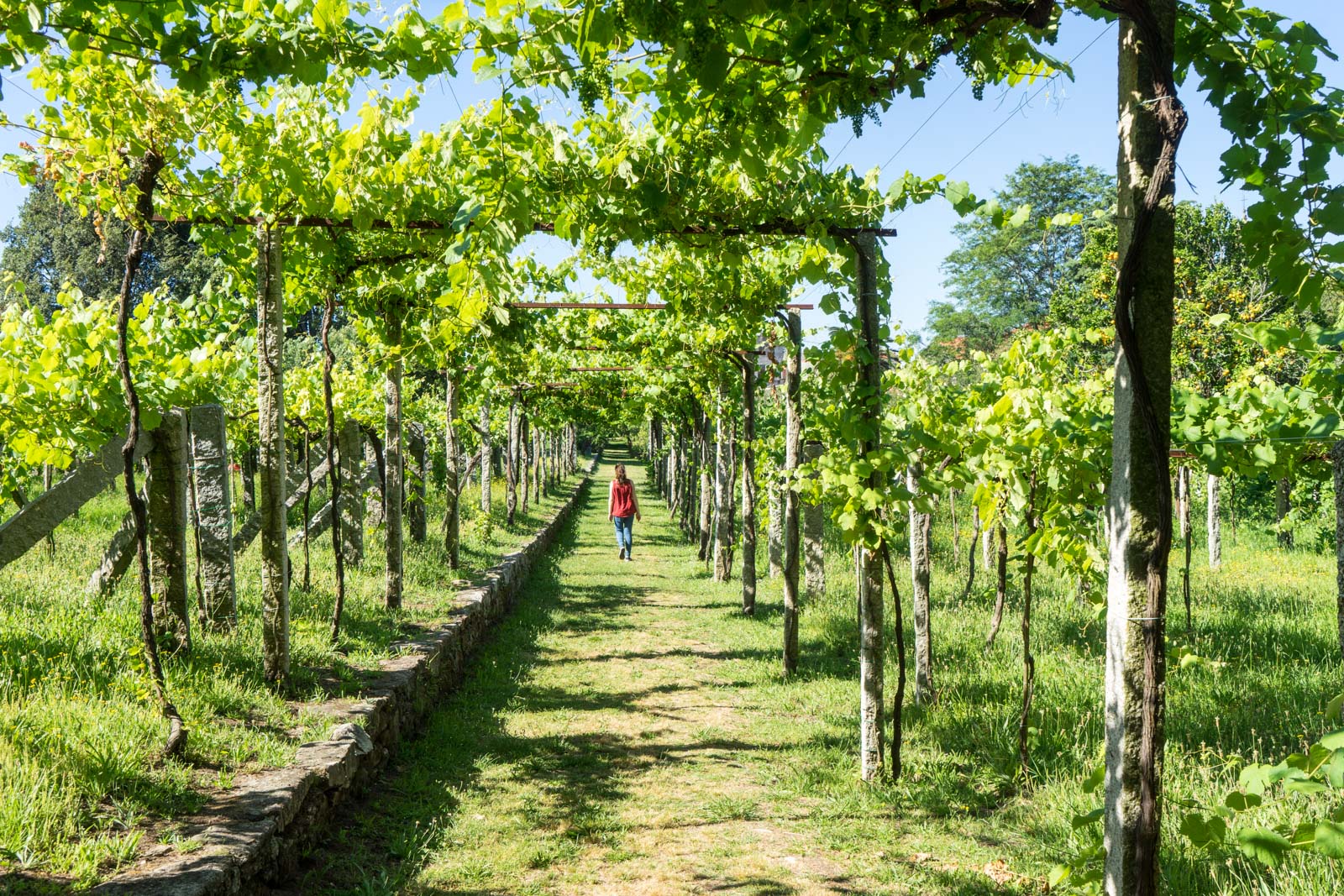 Pazo de Fefinas, Galicia, Spain