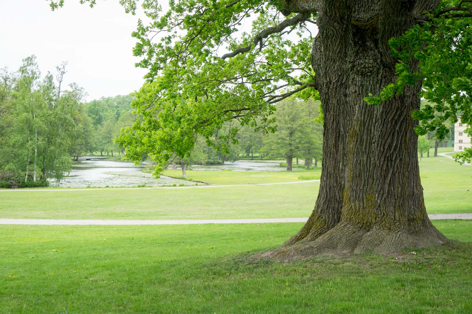 Drottningholm Palace, Stockholm, Sweden