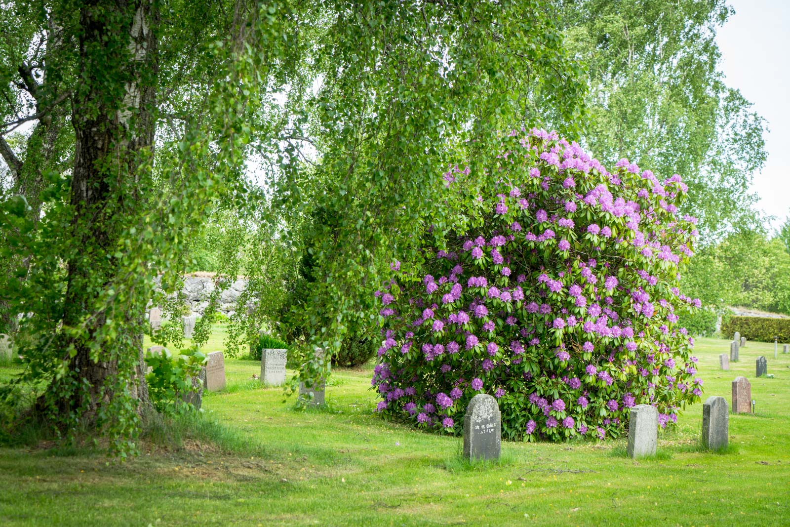 Skogskyrkogarden, The Woodland Cemetery, Stockholm, Sweden