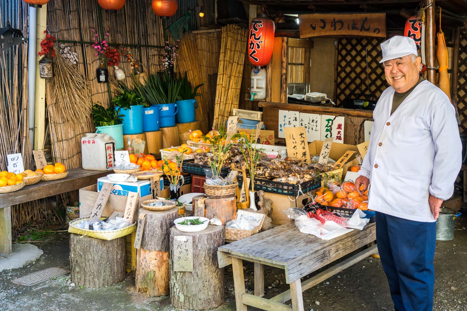 Mikans in Ehime, Japan