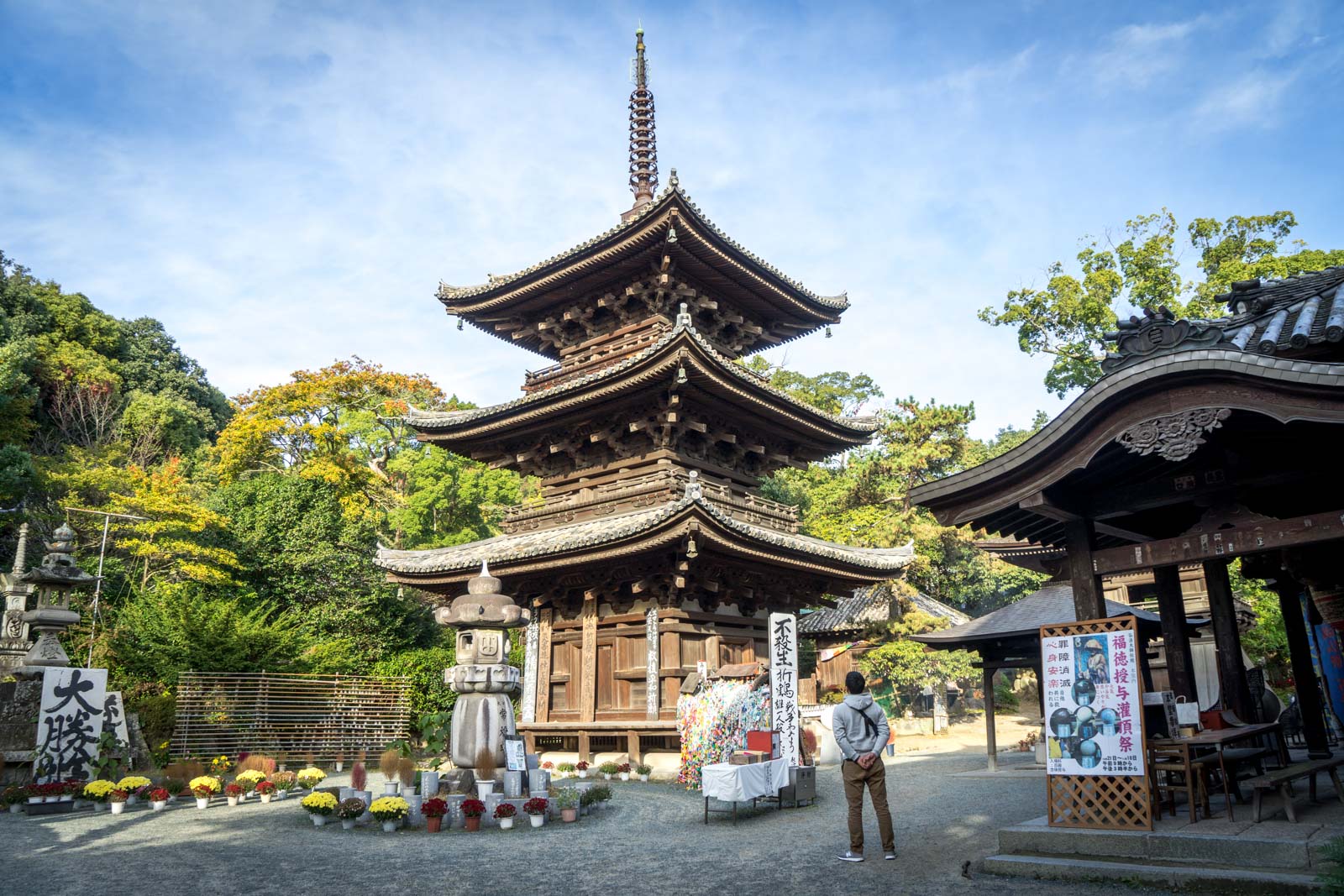 How to spend a day in Matsuyama (Ehime, Japan)