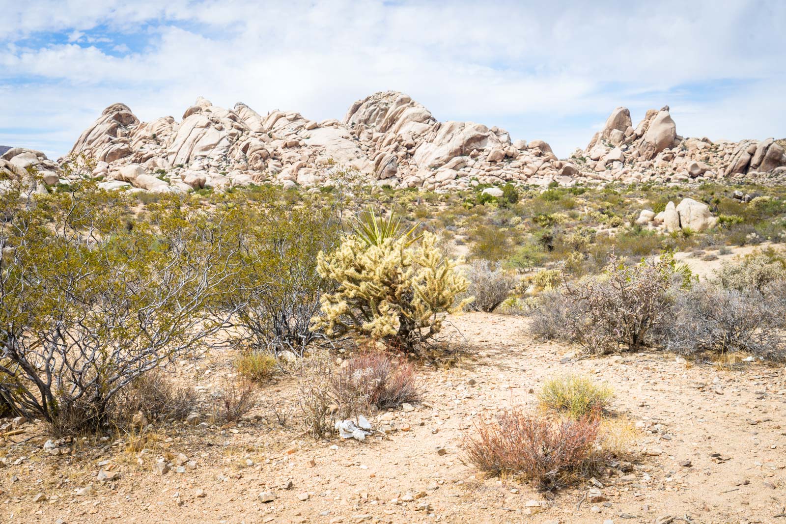 Mojave National Preserve the best stop between LA and Vegas