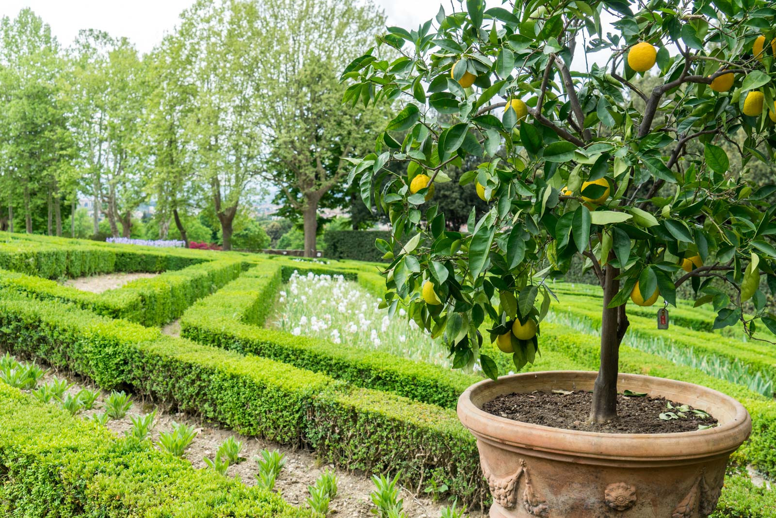 Villa La Petraia, Tuscany, Italy