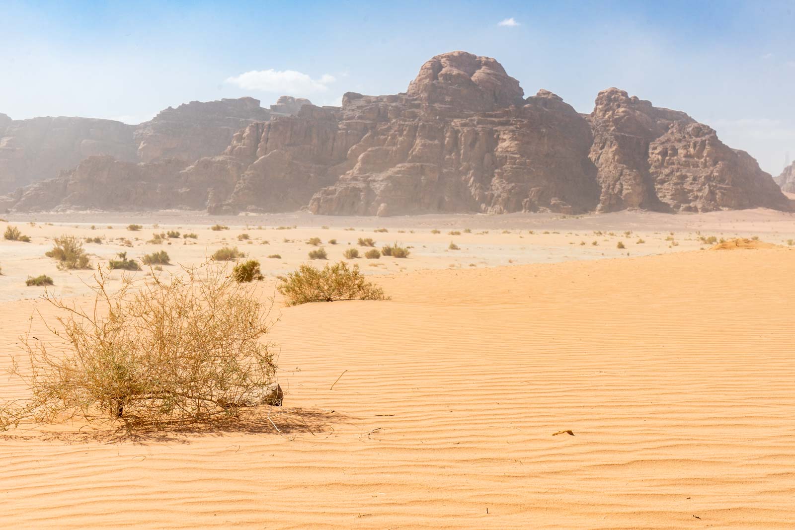 jordan desert trek