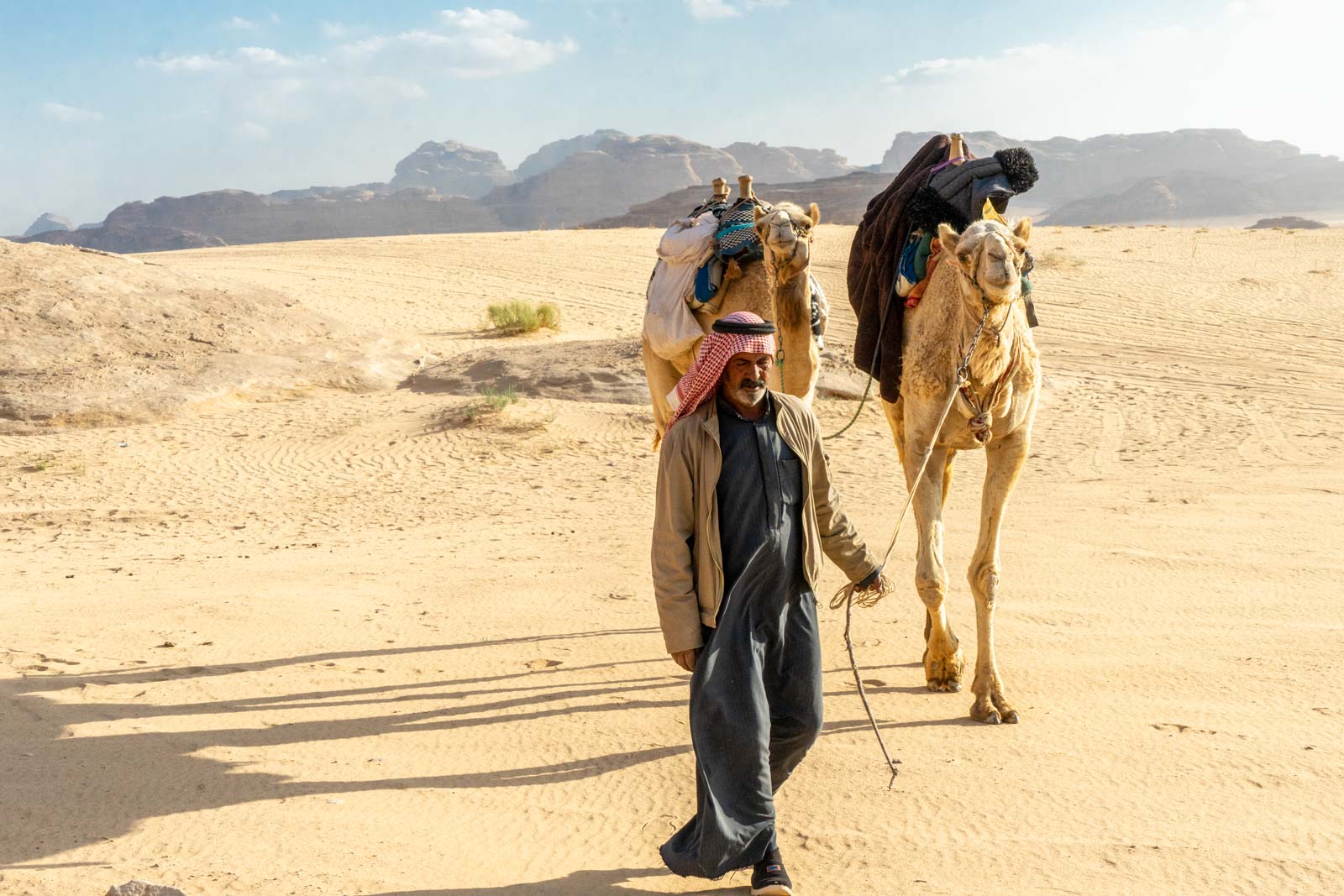 Camels at Wadi Rum, Jordan