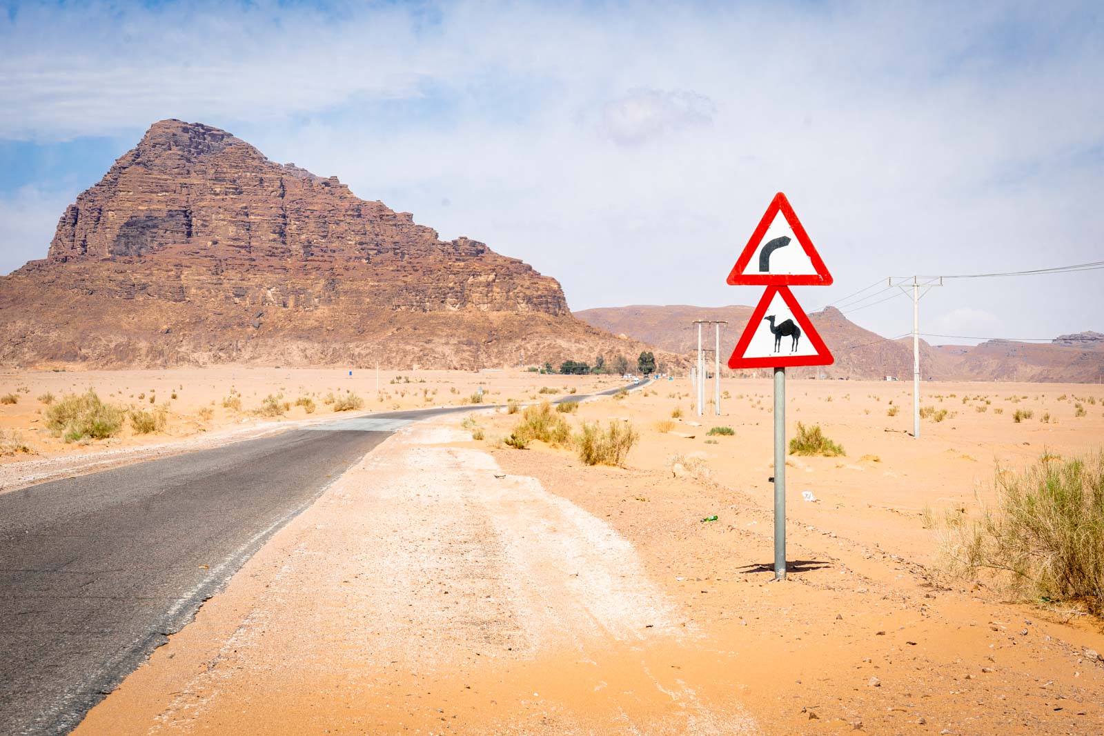 Organised group tour in Jordan