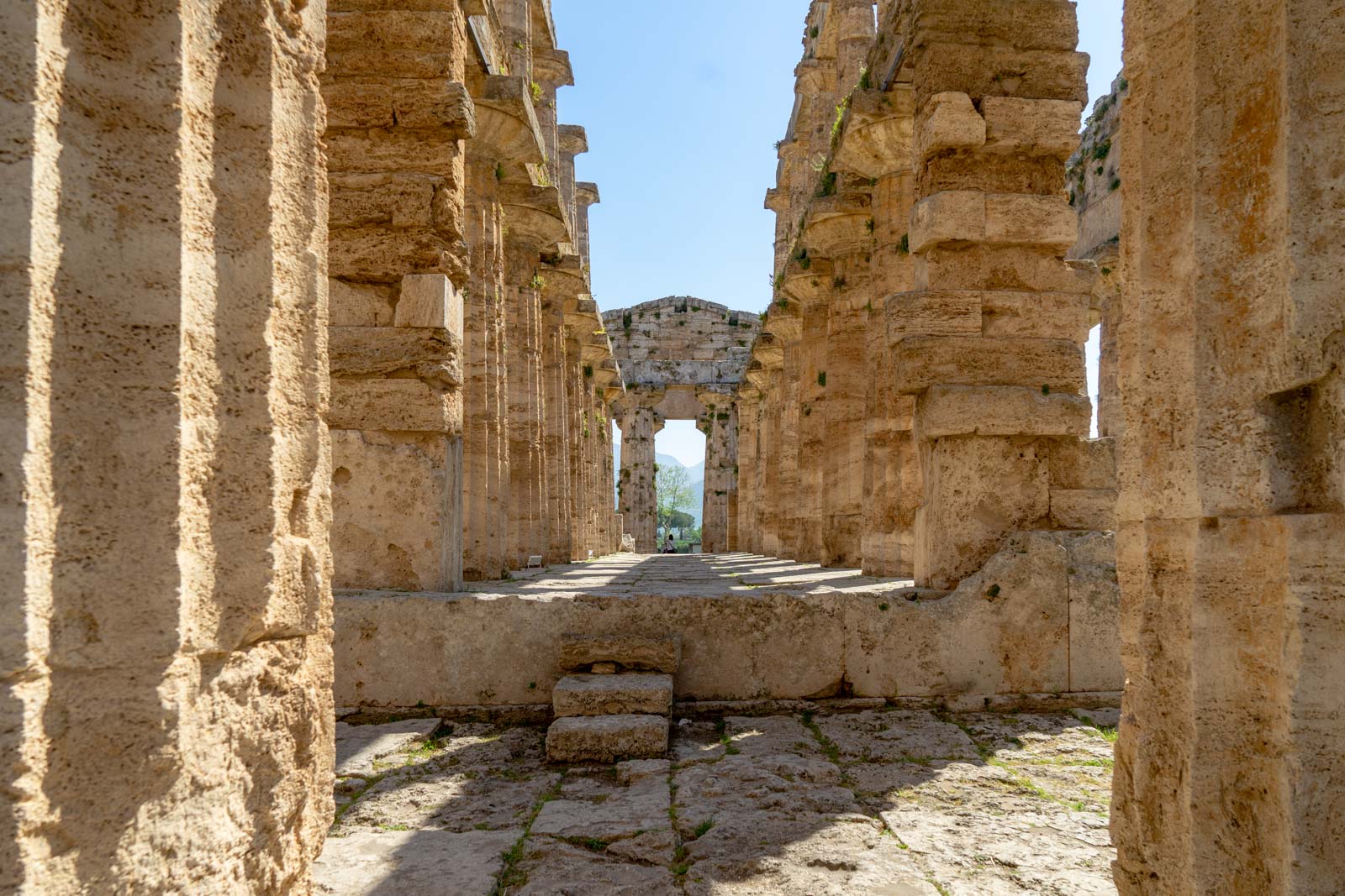 Temples of Paestum, Italy