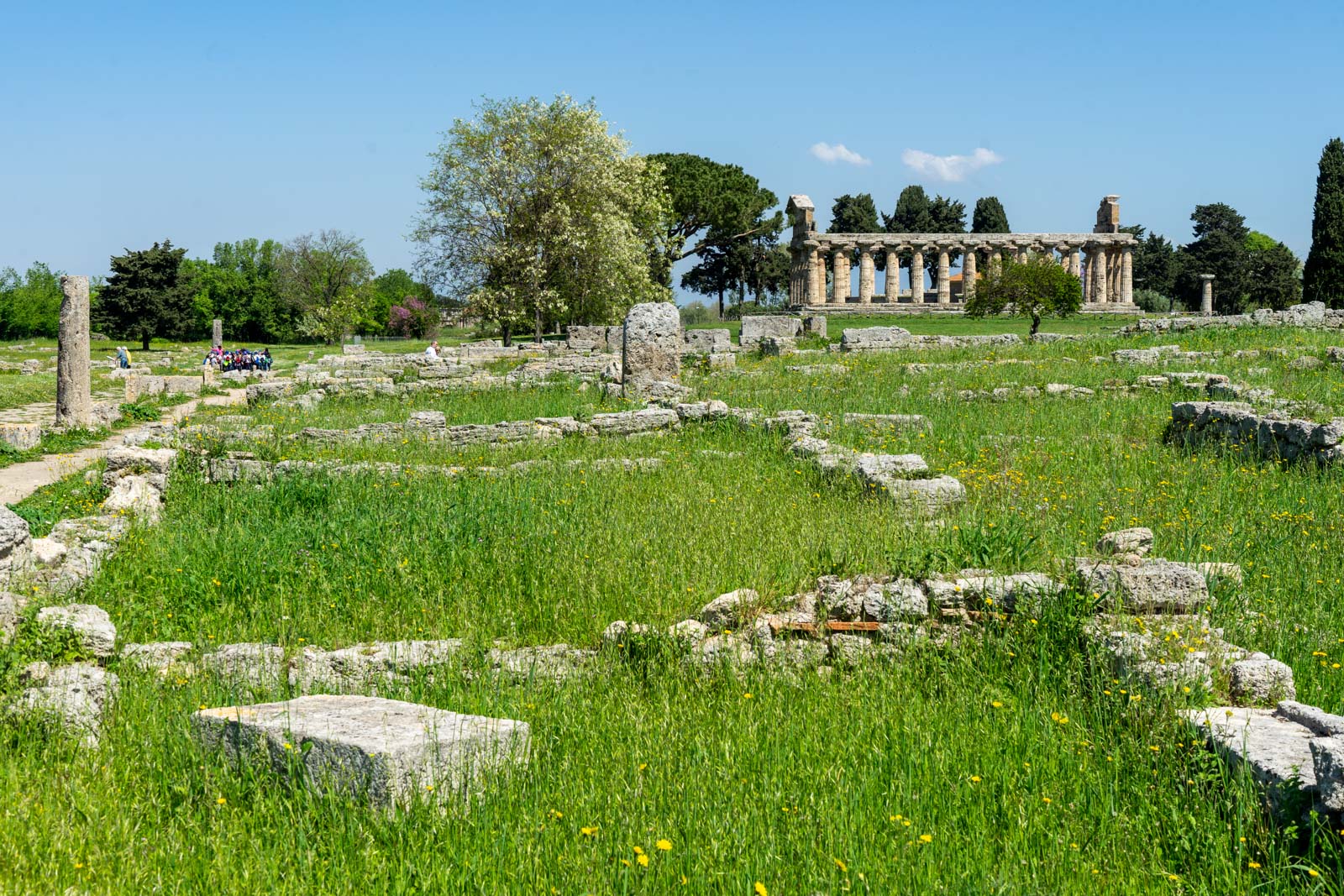 Temples of Paestum, Italy
