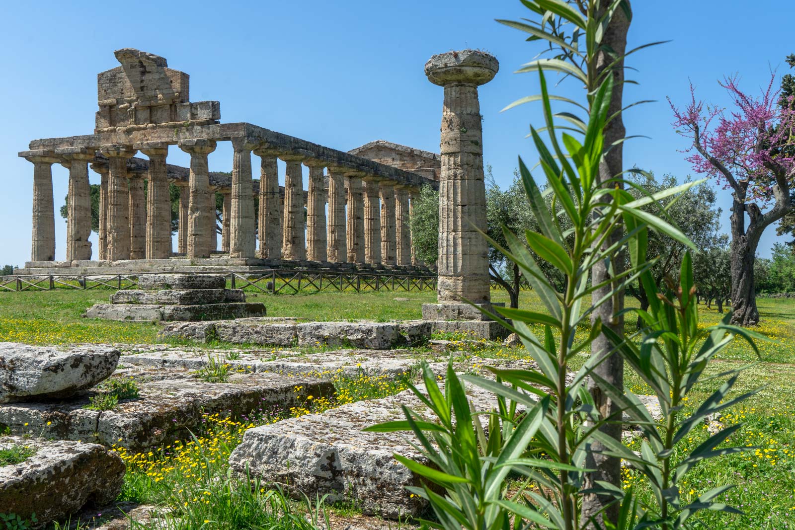 visit paestum italy