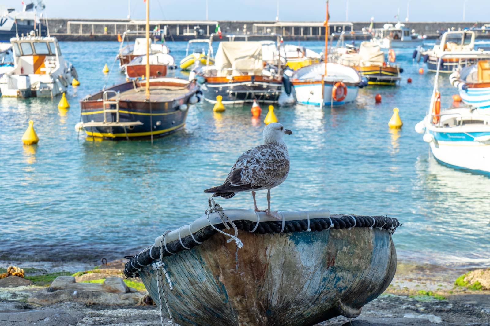 Day trip Capri, one day in Capri from Naples