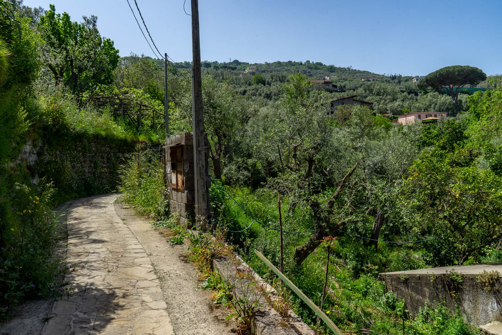 Naples to Sorrento Amalfi Coast day trip