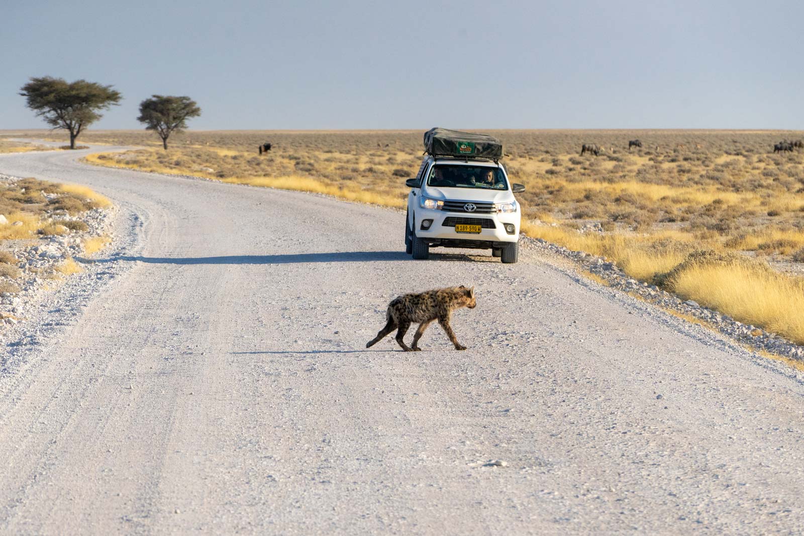 From South Africa to Namibia with G Adventures My review!