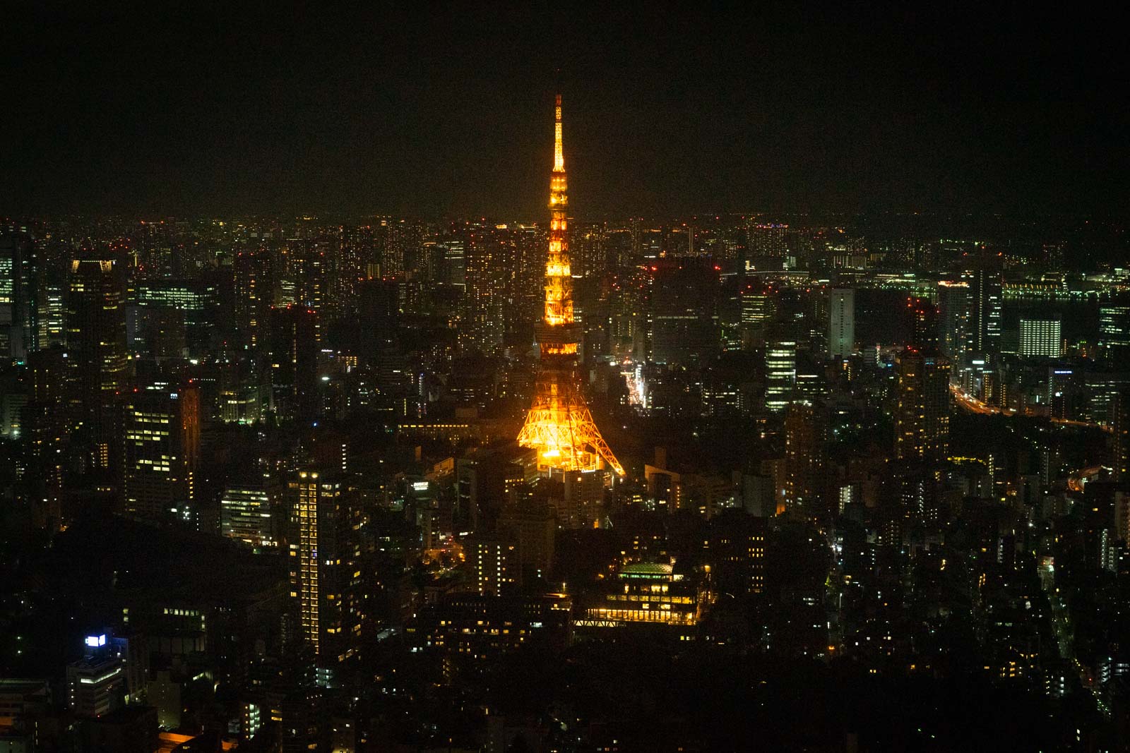 Things to do in Tokyo at night, Japan
