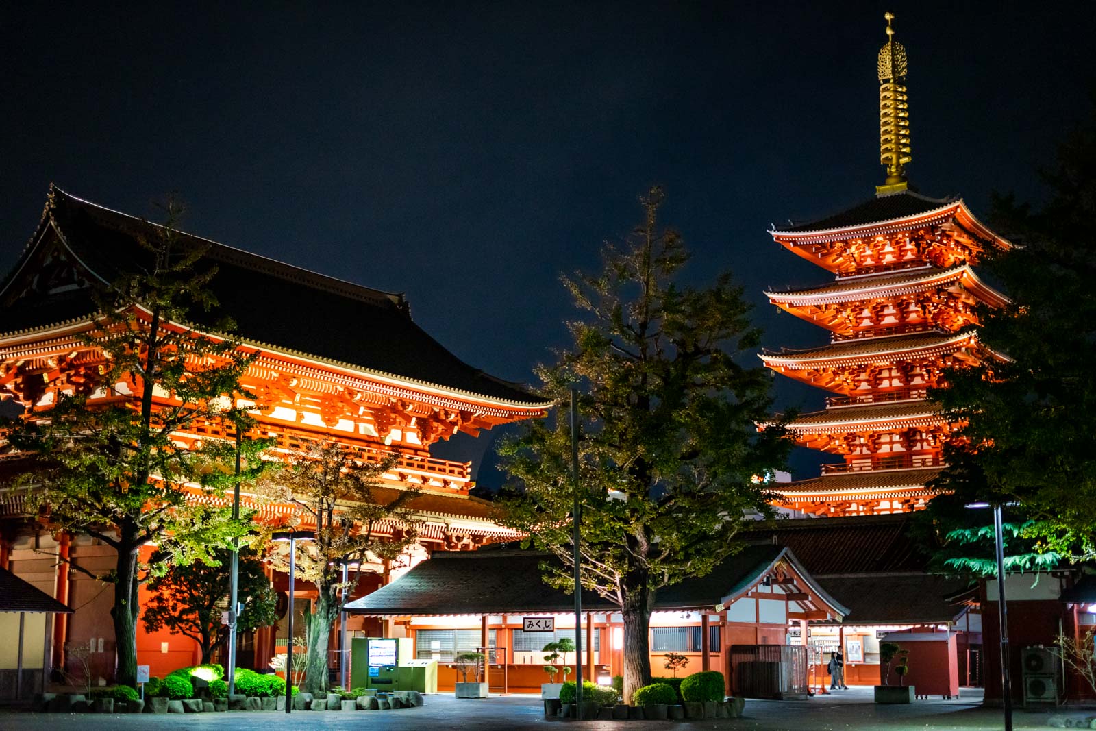 Things to do in Tokyo at night, Japan