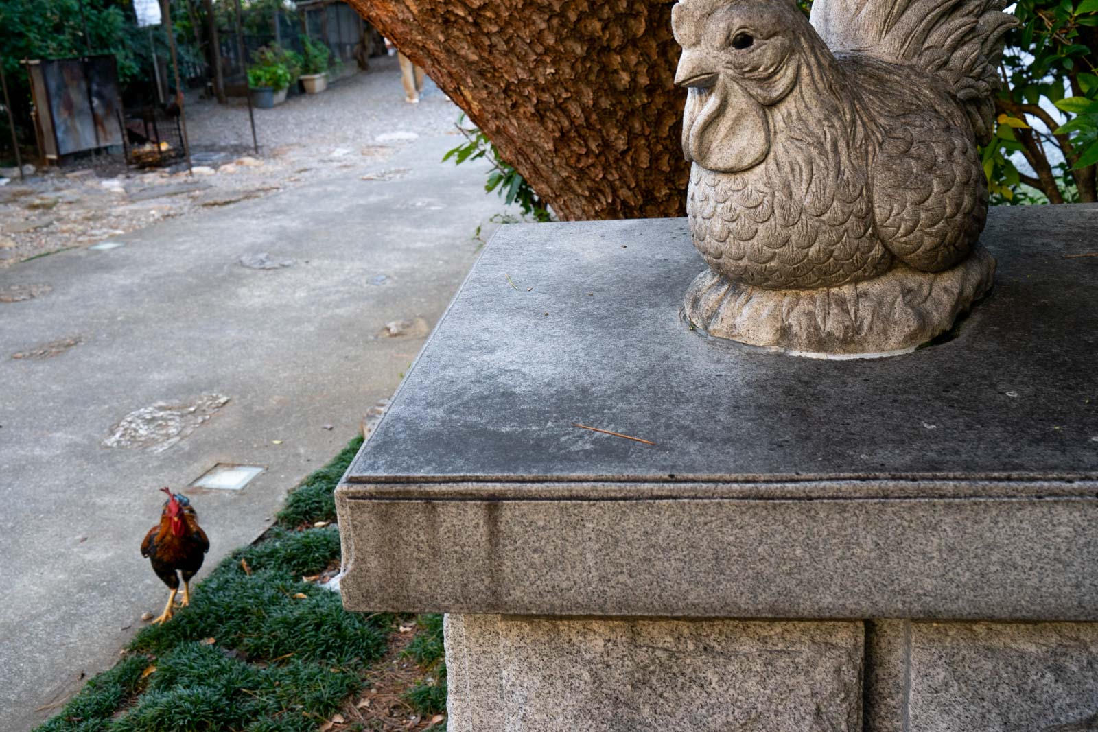 Yosakoi Inari Shrine, Kochi City, Japan