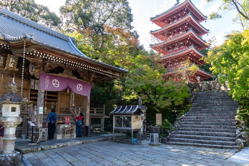 Things to do in Kochi City, Japan How to spend a day here!