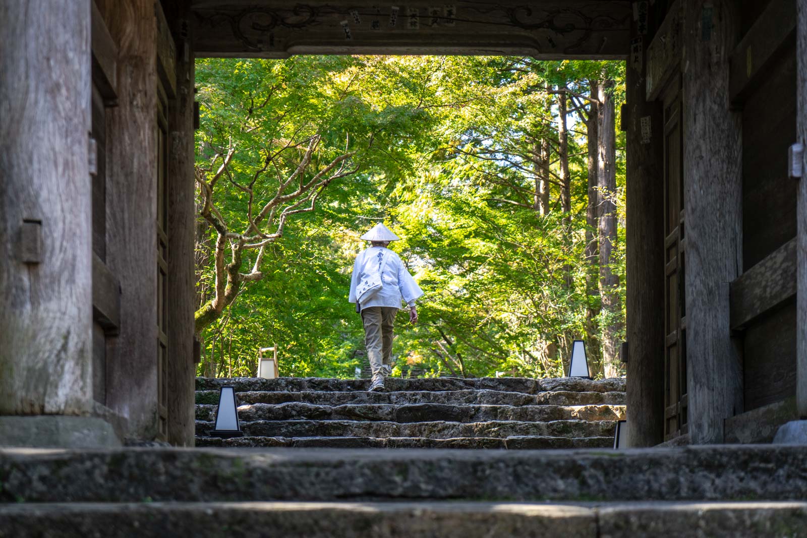 Things to do in Kochi City, Japan