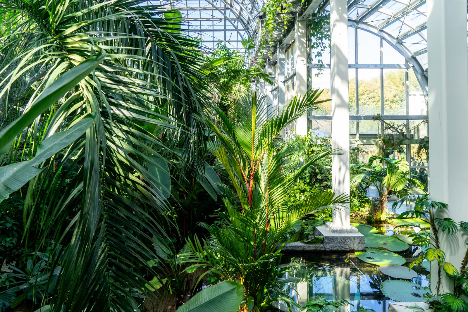 Makino Botanical Garden, Kochi City, Japan