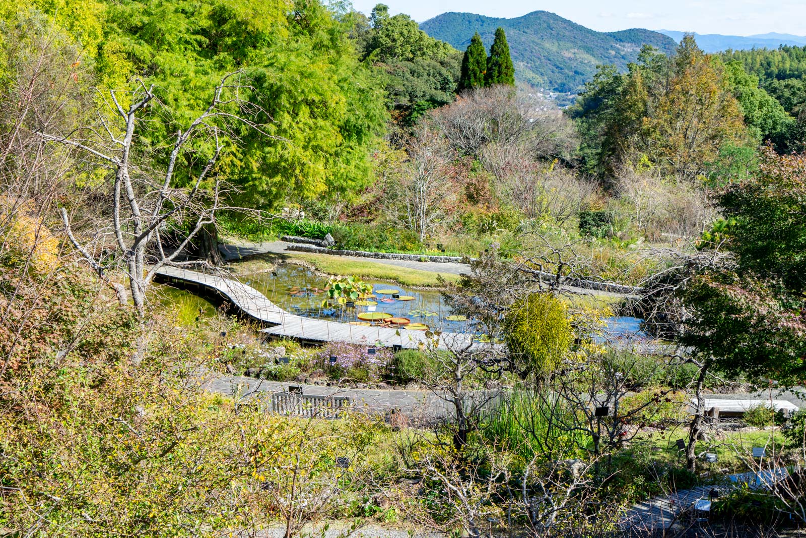 Makino Botanical Garden, Kochi City, Japan