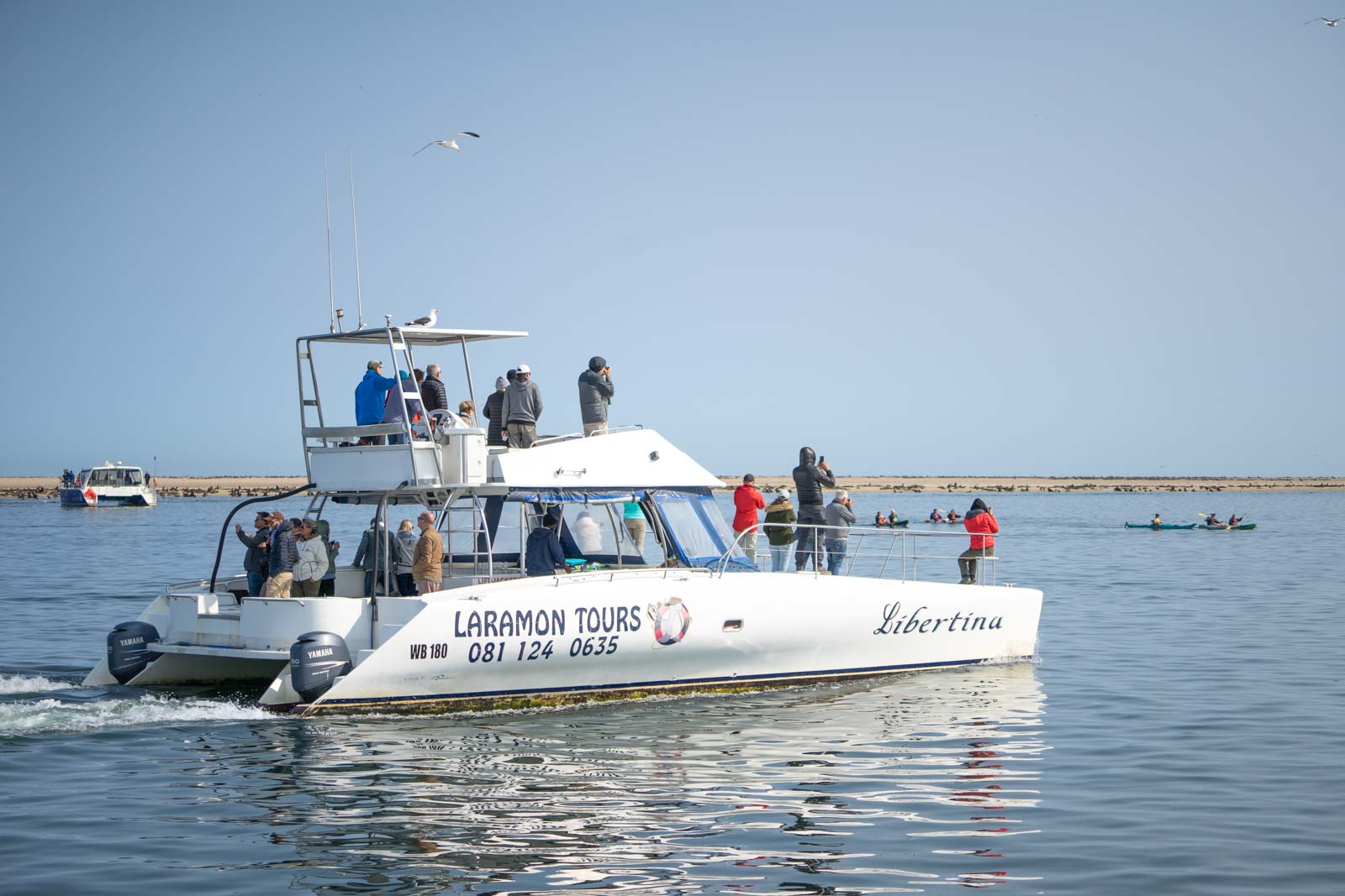 Walvis bay boat cruise in Namibia A dolphin cruise from Swakopmund