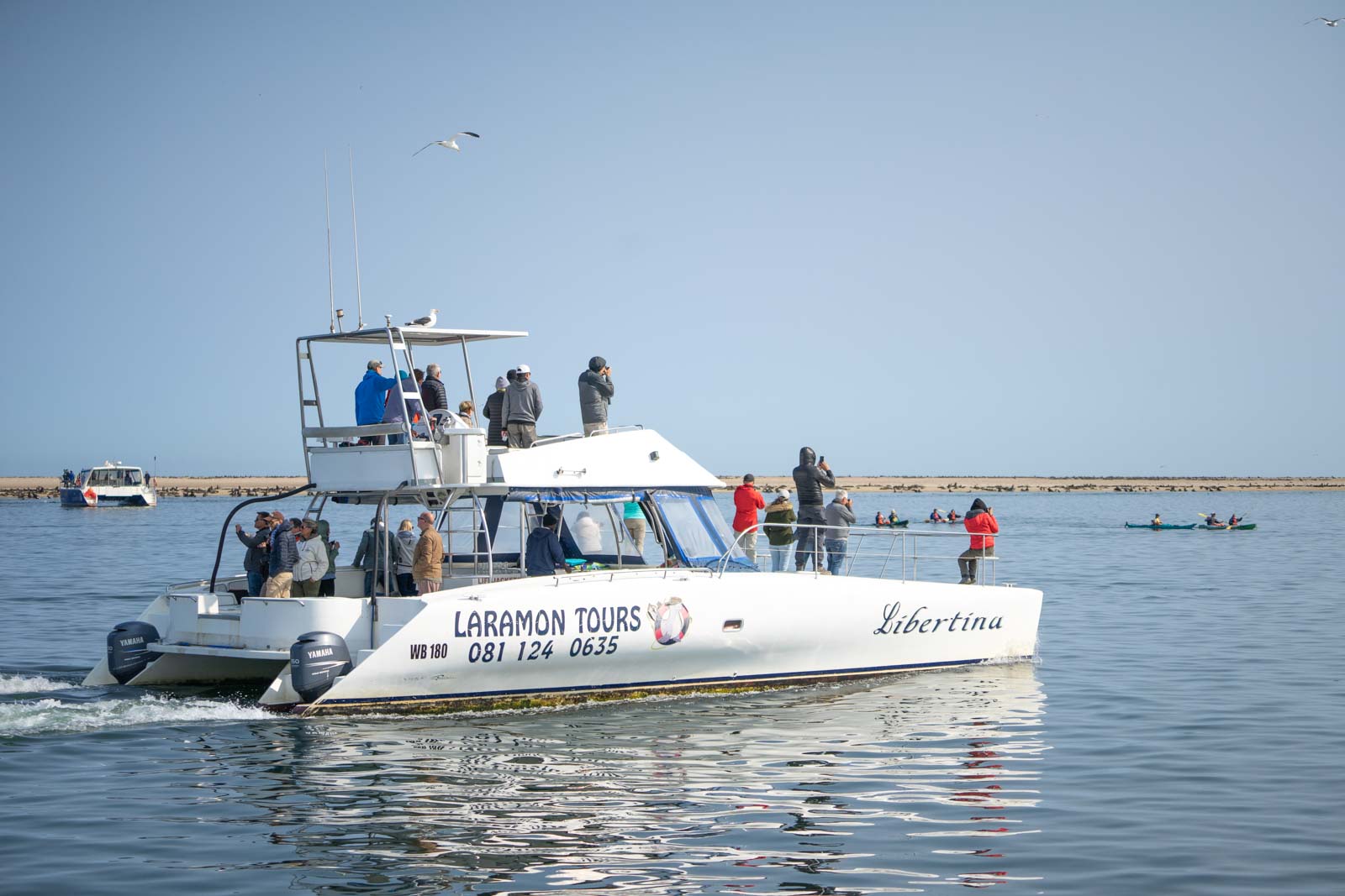 swakopmund boat tour