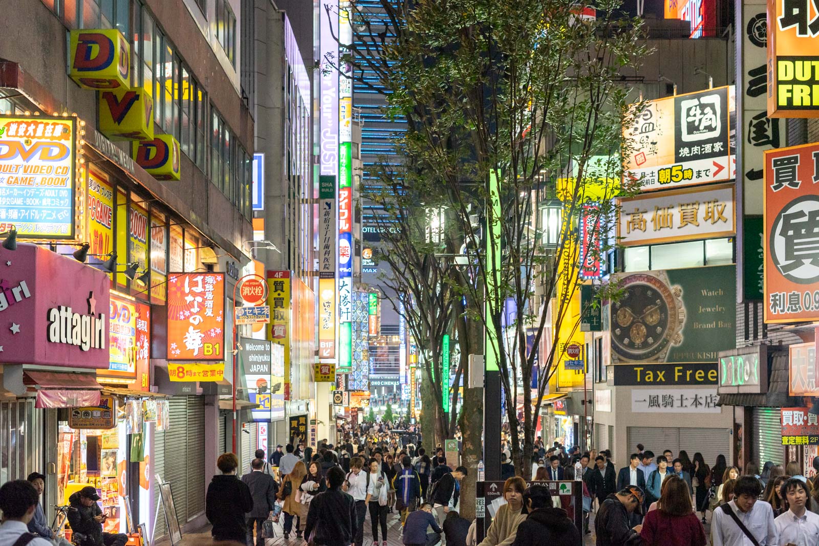 Shinjuku, Tokyo, Japan