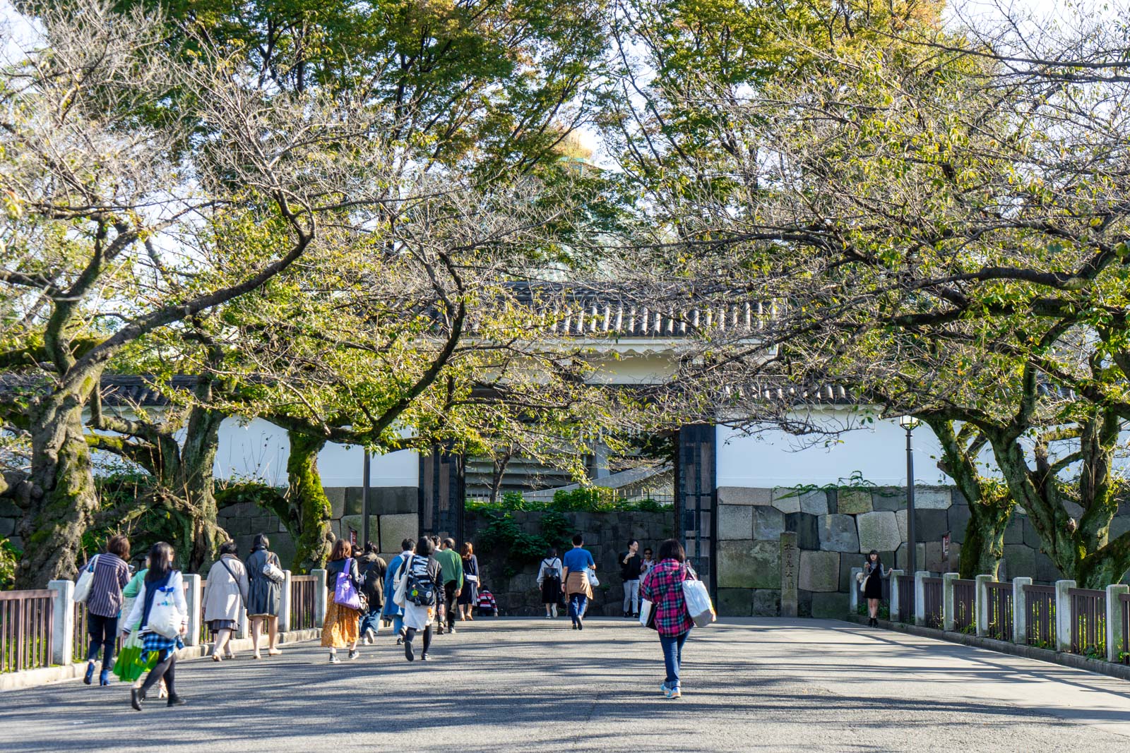 Kitanomaru Park, Tokyo, Japan