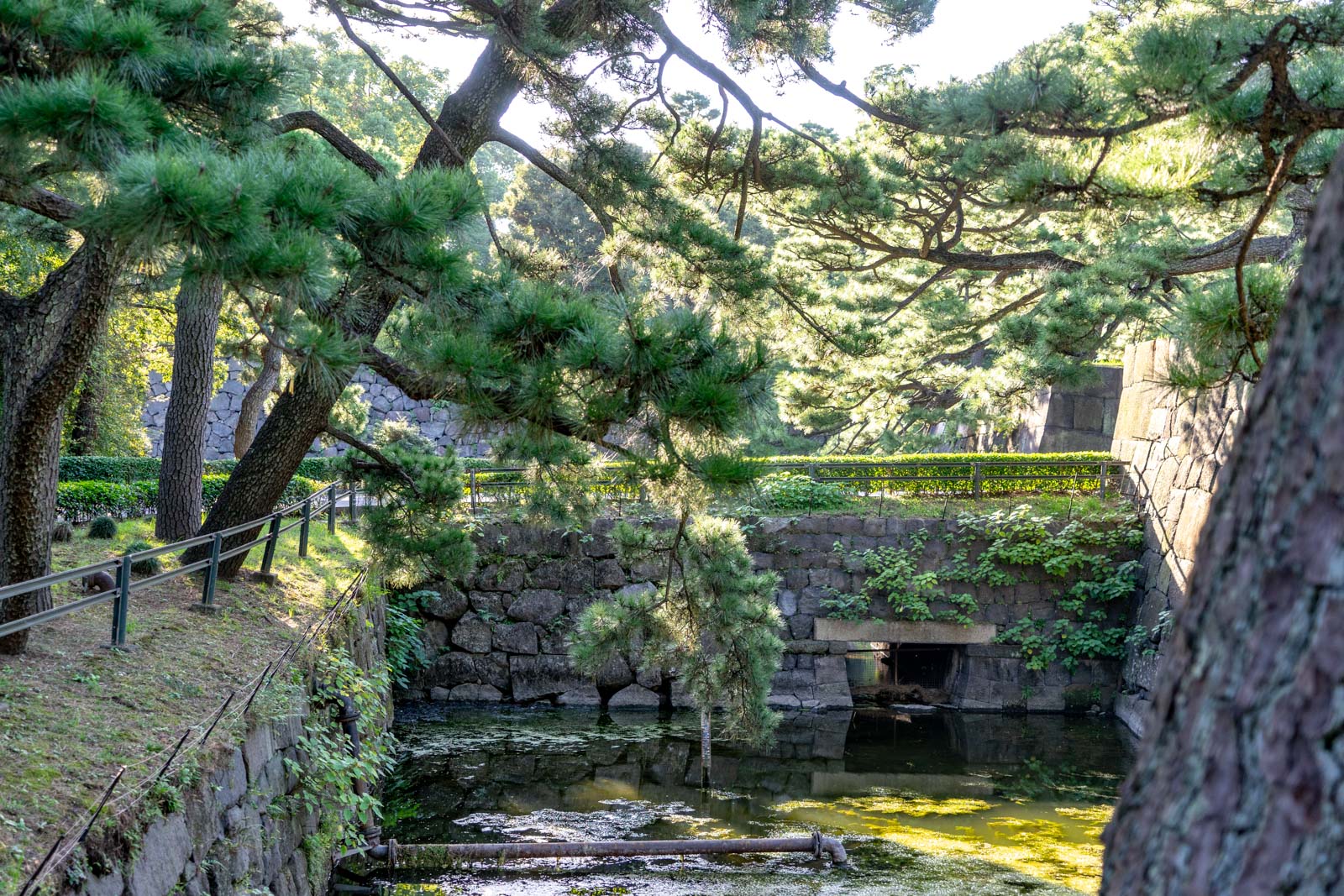 Imperial Gardens, Tokyo, Japan
