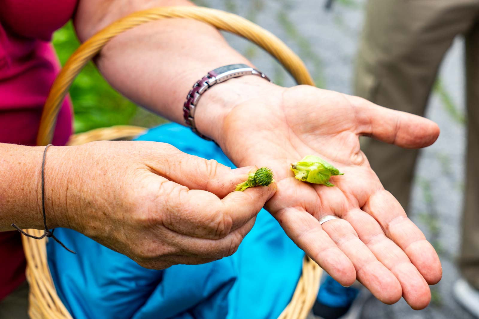 Herbal Walk, Lech, Austria