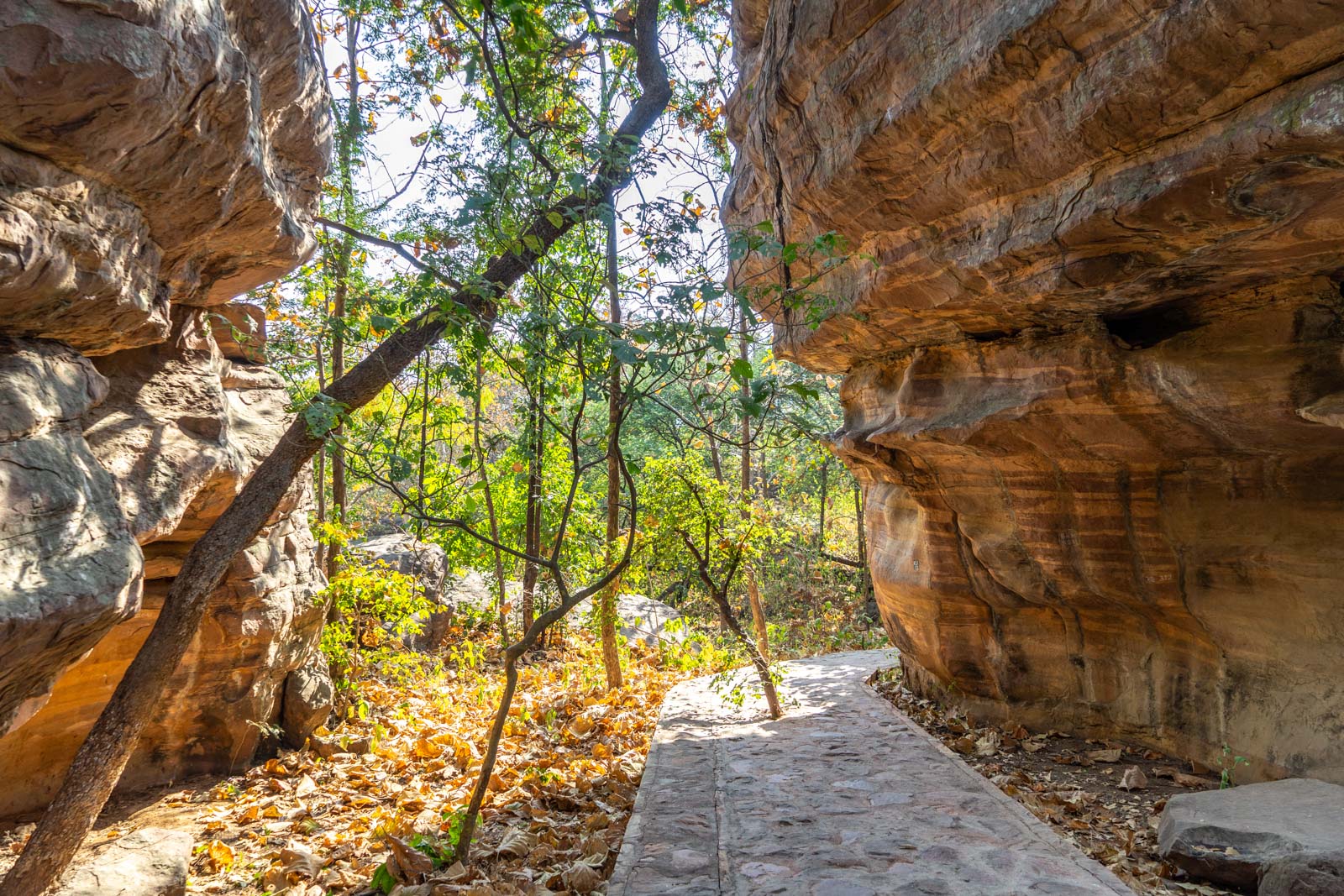 Bhimbetka Rock Shelters, Madhya Pradesh, India