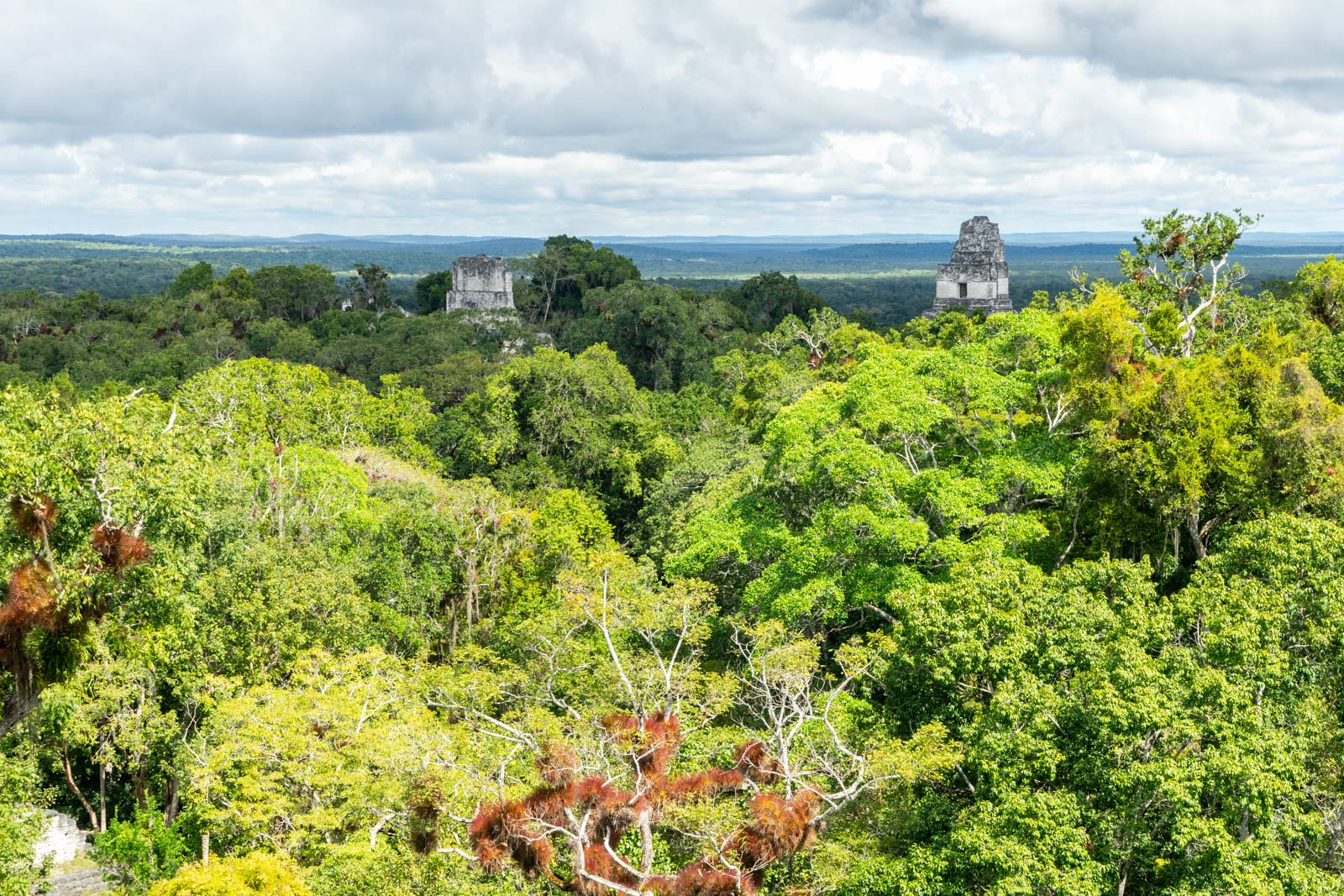 Tikal, Guatemala