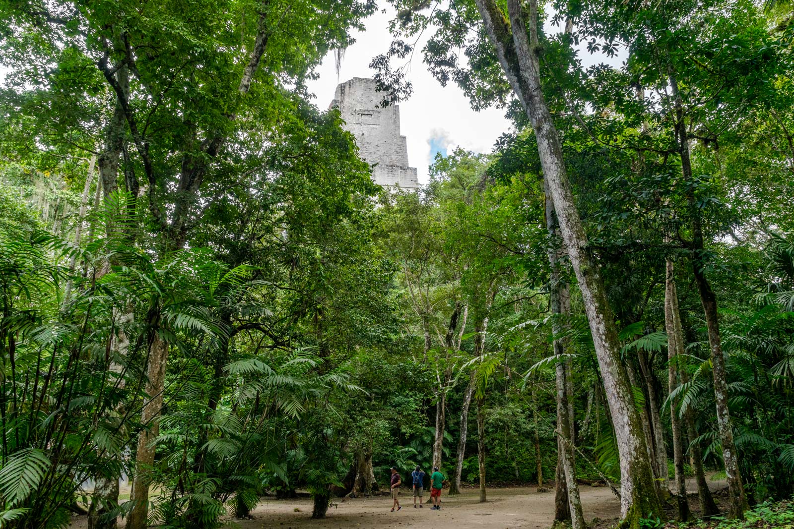 Tikal, Guatemala