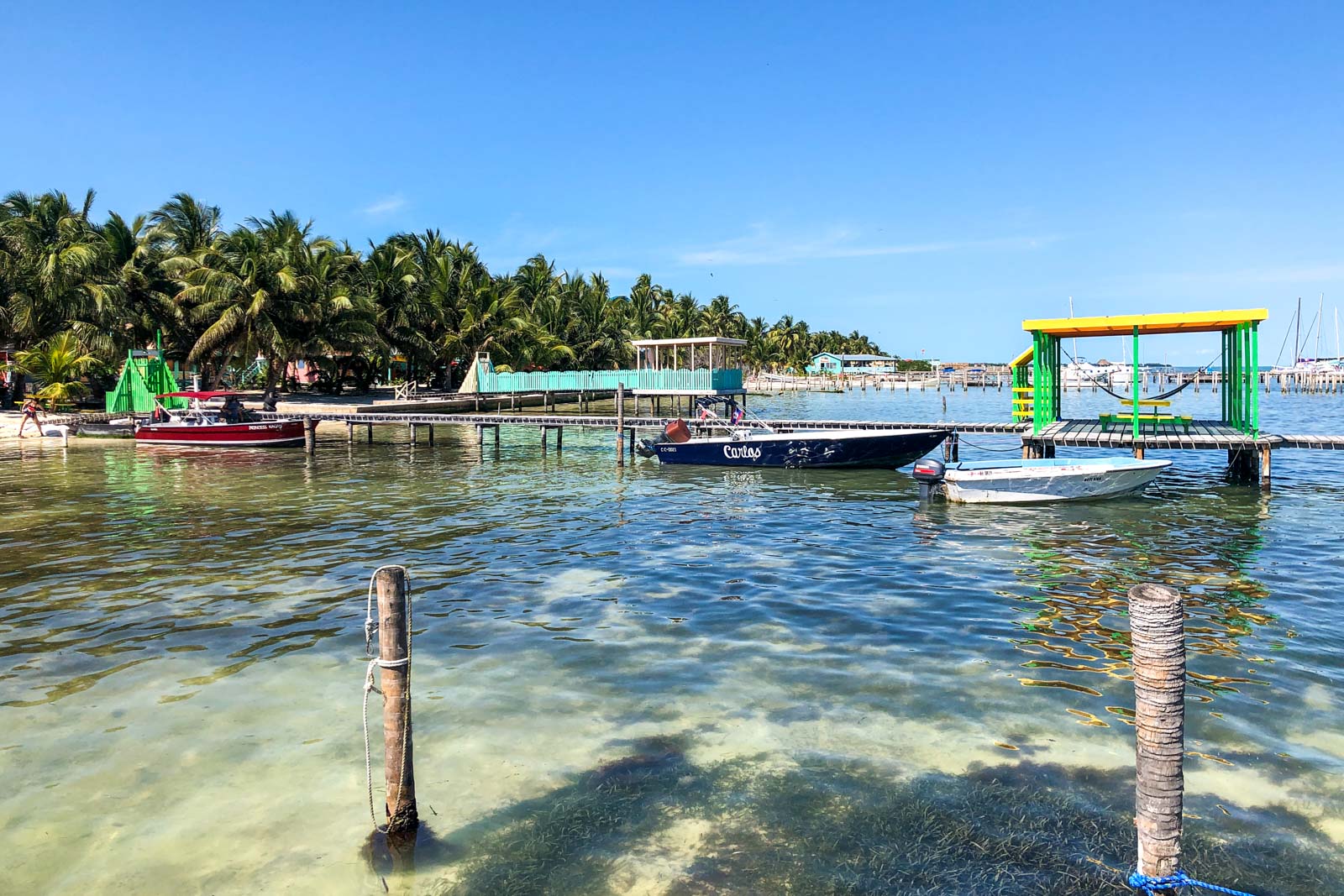 Caye Caulker snorkelling in Belize What to expect