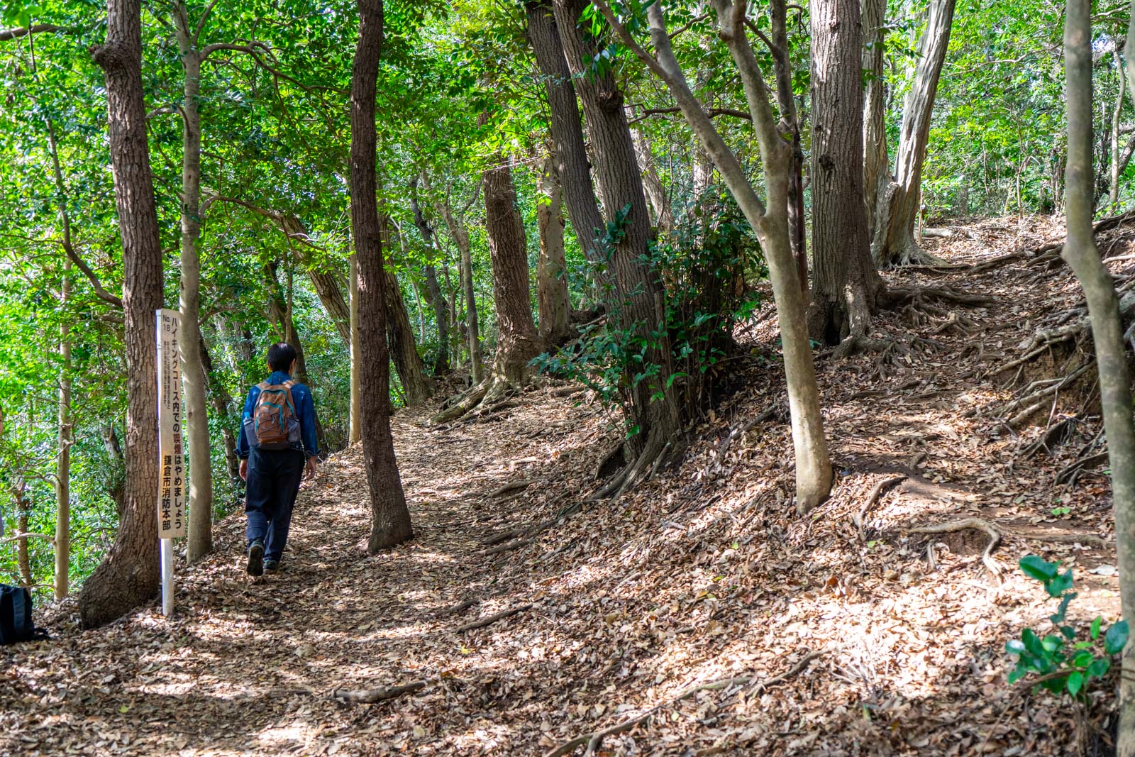 Daibutsu Hiking Trail, Kamakura, Japan
