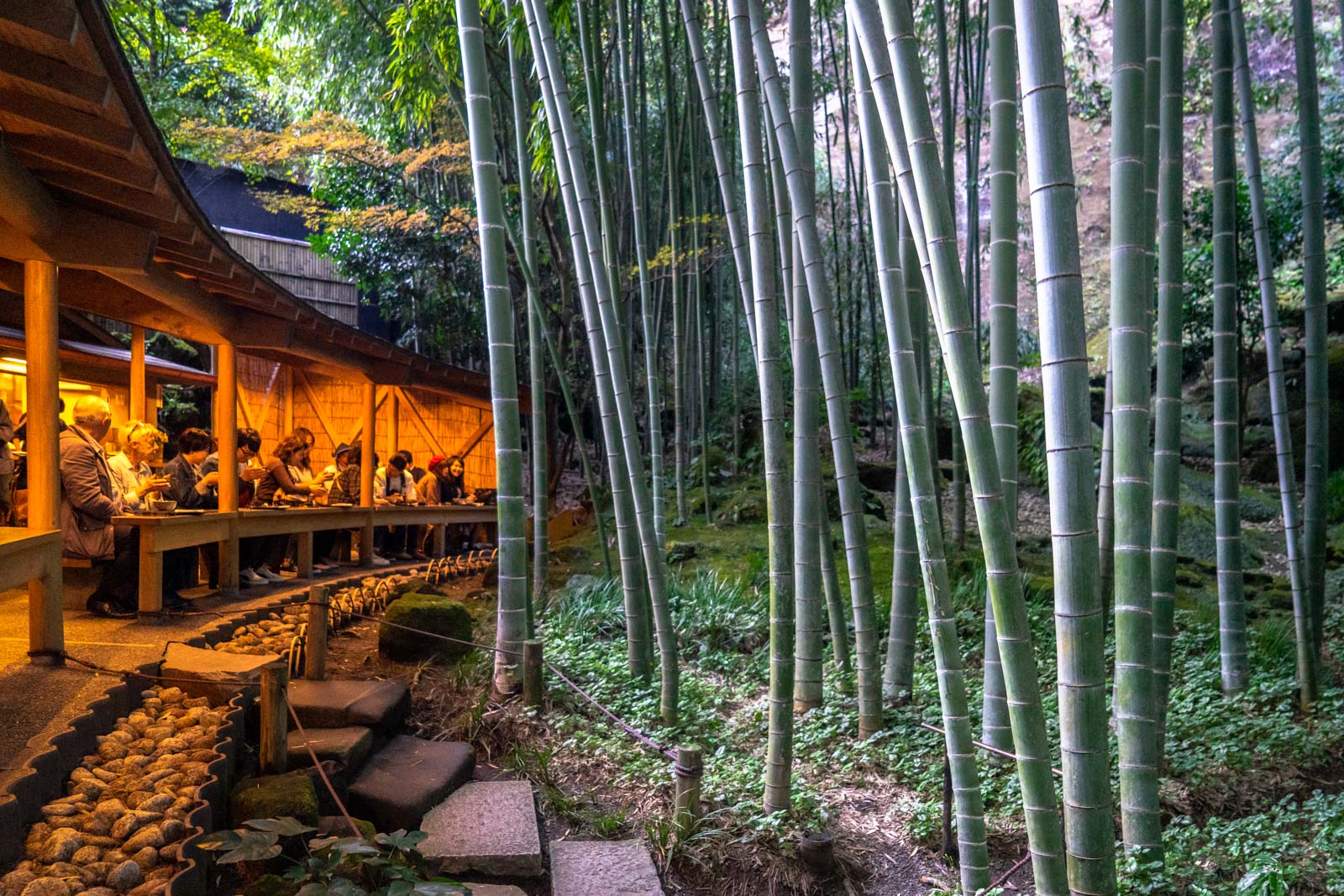 Hokoku-ji Temple, Yokohama, Japan