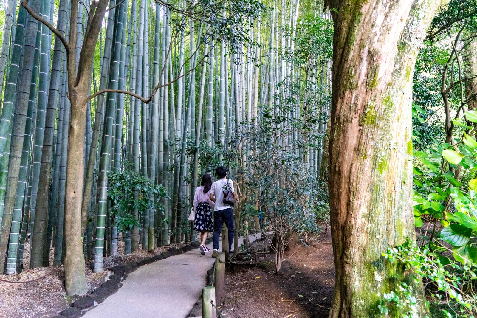 Things to do in Kamakura, Japan