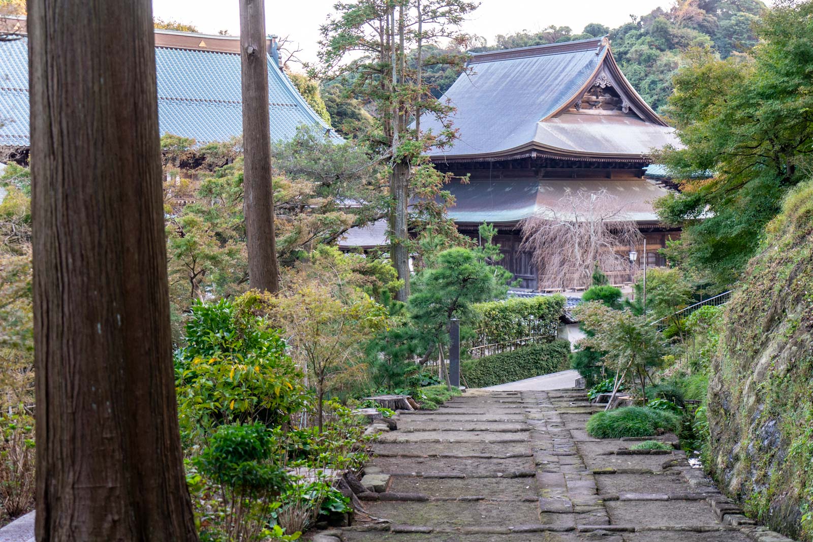 Things to do in Kamakura, Japan